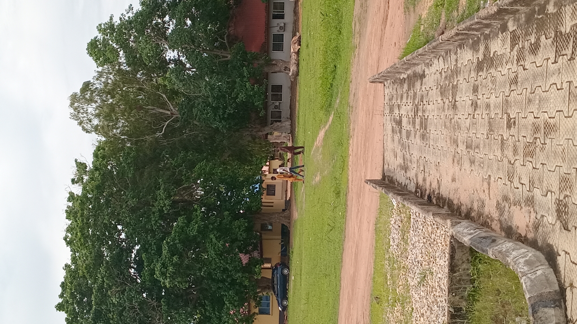 The image shows an outdoor scene with a building and large trees in the background. In the foreground, there is a paved walkway with interlocking concrete blocks. To the left of the walkway is a grassy area and a dirt path.
Several people are visible in the mid-ground, walking on the grassy area. They appear to be young men, dressed in casual clothing. One person is wearing an orange shirt and another is wearing a white shirt. Two individuals are walking together, while another person is standing behind them. A dark-colored car is parked near the building on the left side of the image.
The building in the background has multiple windows and air conditioning units, suggesting it might be an institutional or residential building. The large trees with dense green foliage dominate the left side of the frame, casting shadows on the grass. The sky is overcast, indicating a cloudy day.
The scene appears to be set in Jalingo, Nigeria. The presence of lush greenery and the architecture of the building are consistent with a tropical or sub-tropical climate. The overall mood of the image is relaxed and casual, depicting everyday life. There is no visible text in the image.