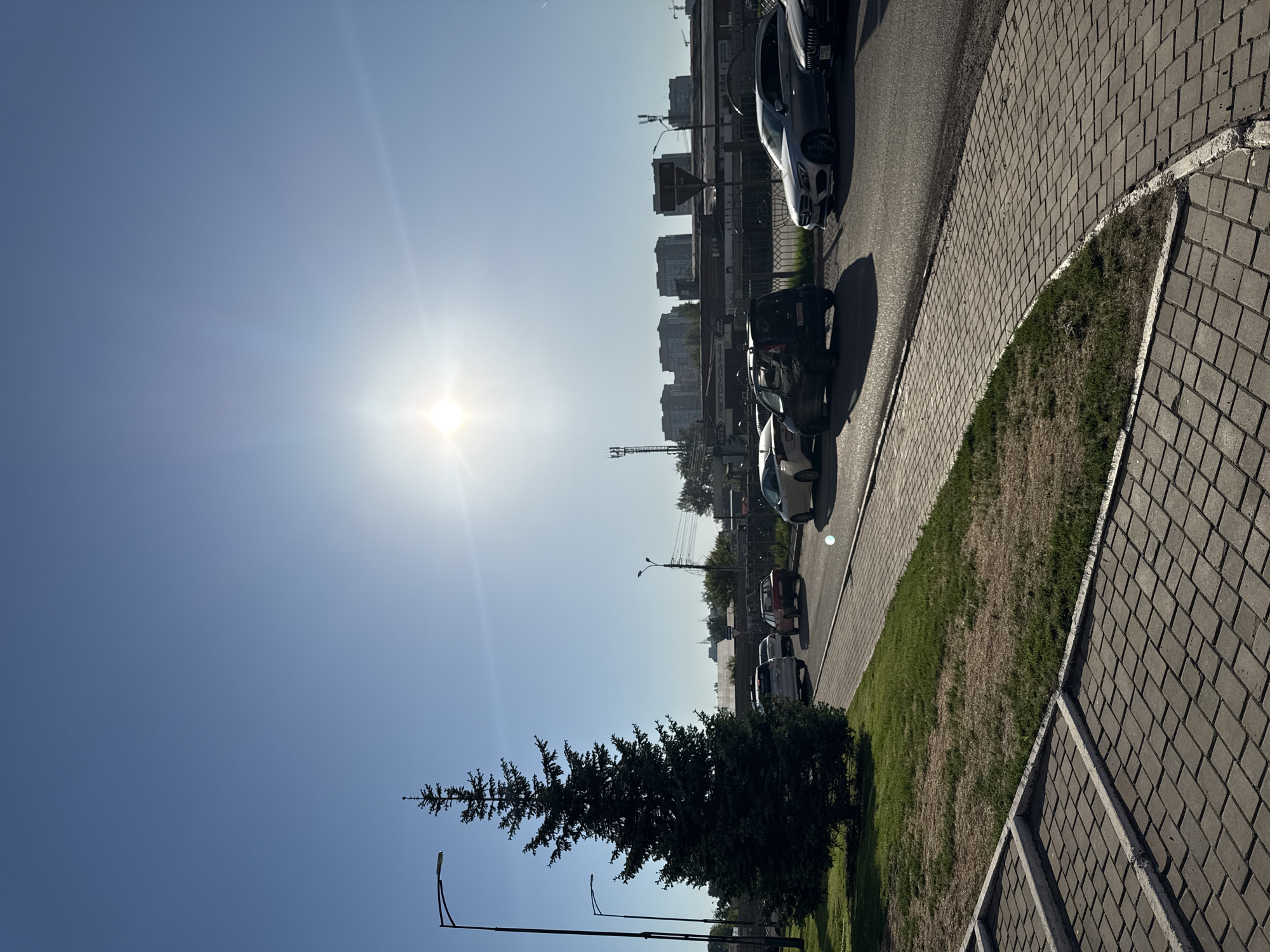 The image depicts a sunlit urban street scene under a clear, bright blue sky, indicative of midday or early afternoon. The strong sunlight creates a noticeable lens flare in the upper right portion of the frame, casting distinct shadows across the scene.
In the foreground, a large, dark green coniferous tree stands prominently on the lower left side. To the right of the tree, a paved road stretches diagonally upwards, lined with several parked cars. These include a prominent white Mercedes-Benz sedan in the middle-right and a dark sedan further along the road. Adjacent to the road, a strip of grass, showing areas of both lush green and drier patches, separates the street from a wide, patterned concrete block sidewalk that runs along the bottom edge of the image and curves slightly to the right.
The background features several multi-story buildings, likely residential or commercial, stretching across the horizon. Utility poles and overhead lines are also visible in the mid-ground. Two modern streetlights are positioned in the lower left, near the large tree.
A notable detail is faint Cyrillic text on a sign visible behind the parked cars in the mid-ground, appearing to spell "УНИВЕРМАГ" (department store), which strongly supports the given location context of Krasnoyarsk, Russia. The weather is bright and clear, with no clouds. The scene is static, showing no active human presence or specific event, but rather a snapshot of daily urban infrastructure.