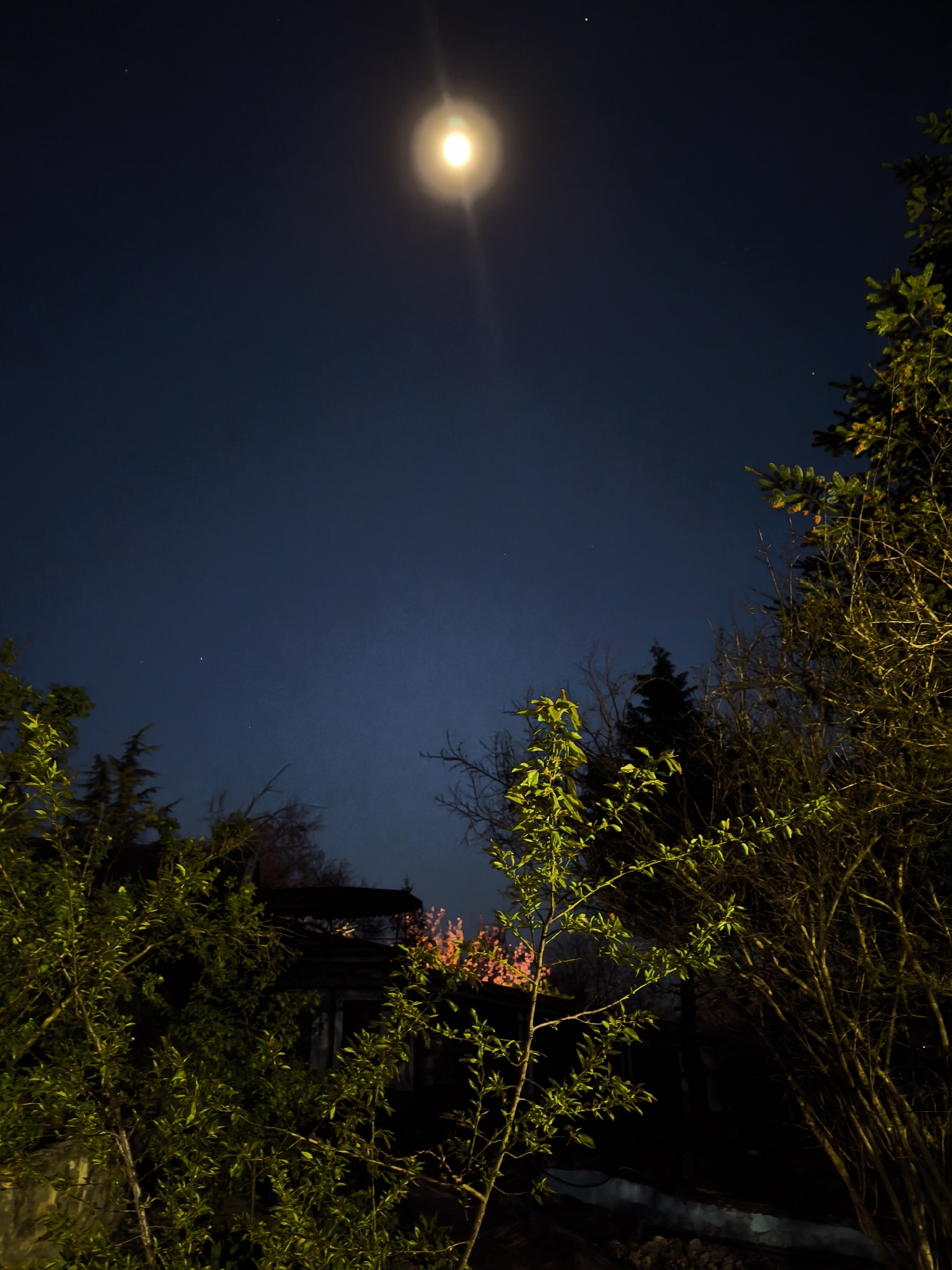 A nighttime outdoor scene under a dark blue sky dominated by a bright, glowing moon high above. Foreground features dense vegetation, including trees with bright green foliage and bare branches illuminated by an unseen light source. Behind the foliage, a dark structure with hints of light emanating from within is visible. The environment is dimly lit, suggesting an absence of artificial lighting except for the glow of the moon. The image does not contain people, actions, or interactions. The location is Avren, Bulgaria.