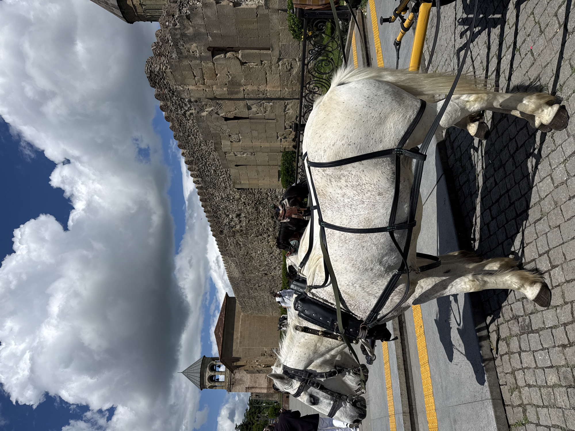 The image shows a white horse harnessed for pulling a carriage. It is standing on a cobblestone street next to a yellow-marked path. In the background is an old stone wall, part of the Svetitskhoveli Cathedral complex, a UNESCO World Heritage Site in Mtskheta, Georgia. A church tower is also visible behind the wall. The sky is partially cloudy. People are standing in front of the horse.