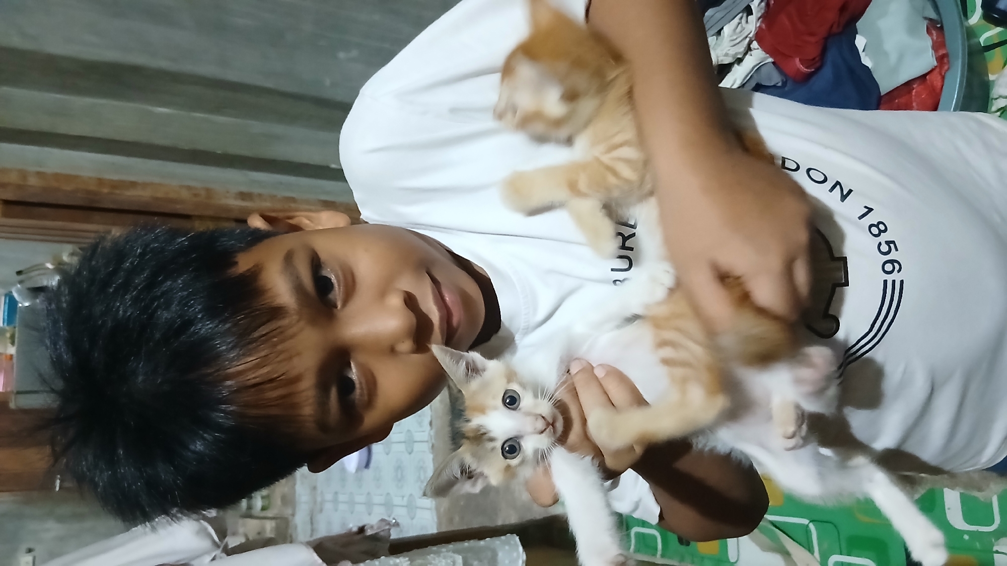 In Keudejungkagajah, Indonesia, a young boy with dark, spiky hair and a white t-shirt is holding two kittens. One kitten, a calico with white, black, and orange markings, is held in his left arm, looking directly at the camera with wide blue eyes. Its front paws are extended. The second kitten, an orange tabby, is cradled in his right arm, its body angled away from the camera and its paws tucked in. The boy is smiling gently. He is wearing a white t-shirt with a black logo and numbers "9561 DON 1856" printed on it. The background is dimly lit, showing a wall with vertical paneling and a wooden door frame. To the left, a white fabric hangs, and further back, indistinct objects are visible, possibly shelves or furniture. To the right, a laundry basket filled with colorful clothes is present. The overall scene appears to be indoors, in what could be a home environment.