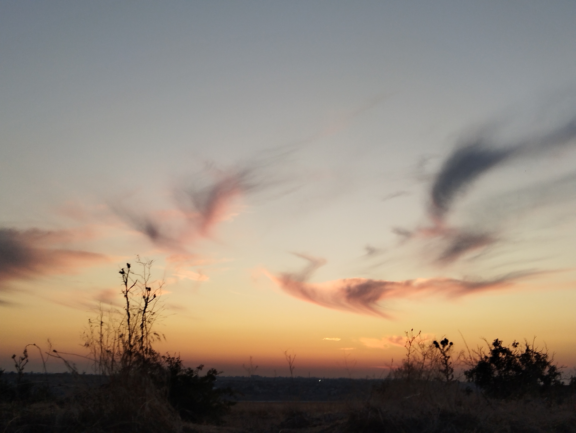 A sunset scene in Nova Dofinivka, Ukraine features a hazy sky with wispy clouds tinged with pink and orange hues. Silhouetted against the horizon are dry, sparse vegetation and trees in the foreground. The landscape appears rural or on the outskirts of a settlement, with no clear signs of urban infrastructure or human activity. The lighting suggests either early morning or late evening.
