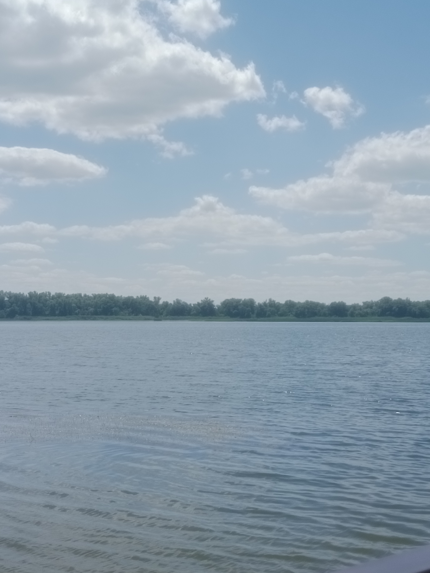 The image shows a wide expanse of calm, blue water, likely a river or lake, under a partly cloudy sky. A line of lush green trees forms the horizon on the far bank. The water's surface has gentle ripples, reflecting the light and the sky. In the distance, the trees are dense and create a solid, dark green line. The sky is a light blue with scattered white clouds, some appearing fluffy and others more wispy. The overall impression is a serene and natural landscape, likely depicting a scene from the city of Horishni Plavni, Ukraine, known for its proximity to the Dnieper River.