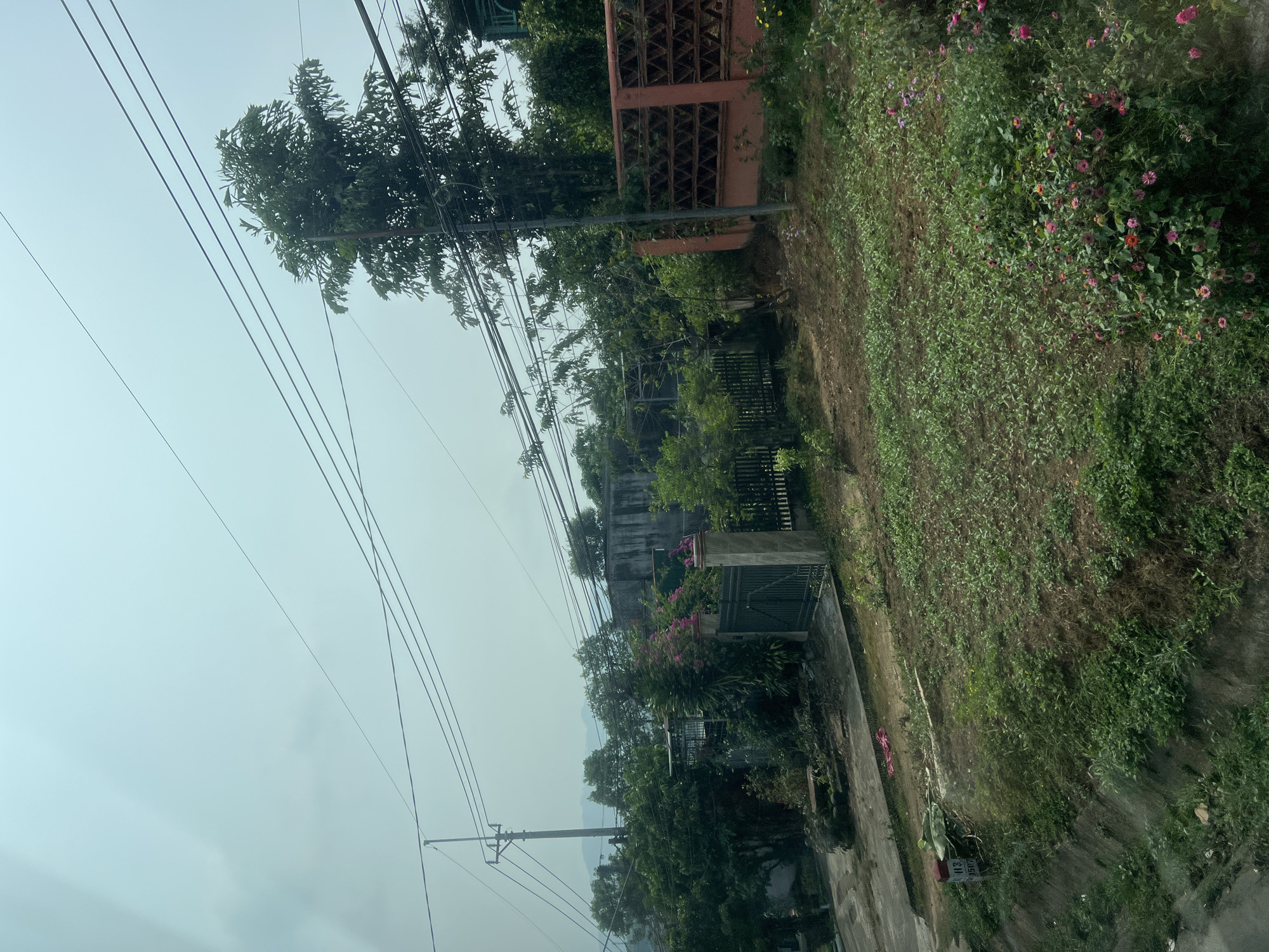 The image depicts a street in Tân Cảnh, Vietnam. Power lines crisscross the sky above a tree-lined street. On the right side, a hillside is covered in vegetation, including pink and purple flowers. A red concrete wall is also visible. A concrete sidewalk runs along the bottom of the frame. A gate and building are seen further down the street. The sky is overcast.