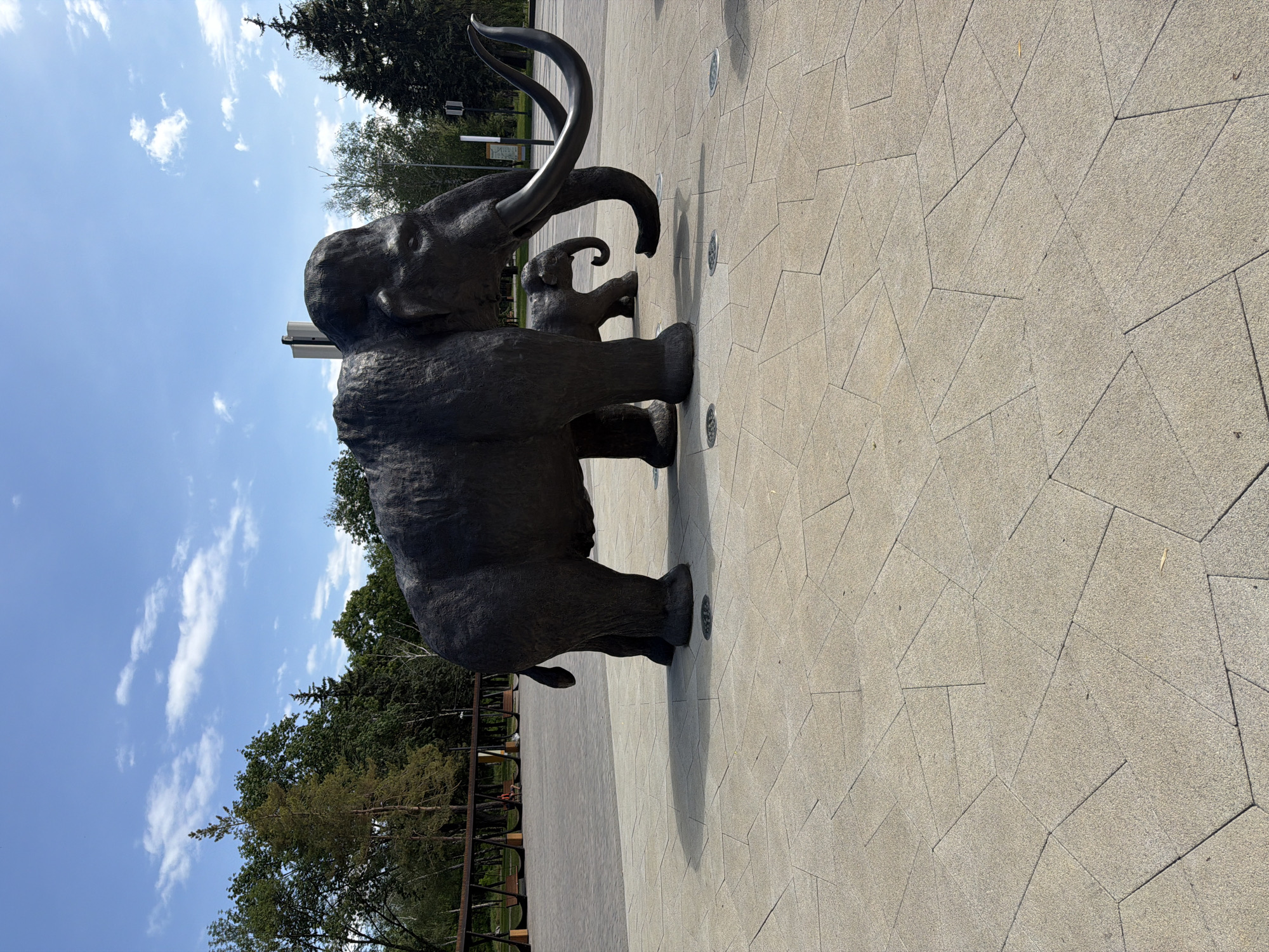 This is a full, eye-level, vertical shot of two large, dark bronze sculptures of mammoths. The larger mammoth is in the foreground and is facing left with its trunk curled downwards. Its tusks are large and curve outwards. A smaller mammoth sculpture is positioned behind and to the right of the larger one. The mammoths are standing on a light-colored, geometric-patterned paved area. In the background, there are trees and a bright blue sky with scattered white clouds. The scene appears to be outdoors in a park or public square.