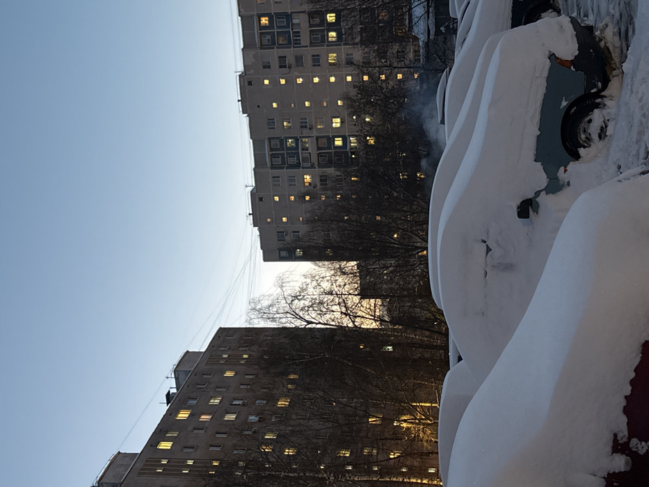 The image captures a winter scene in an urban residential area, taken in portrait orientation but rotated 90 degrees clockwise, so the sky is on the left and the ground with snow-covered cars is on the right.
In the foreground, on the right side of the image (which would be the bottom if upright), several cars are parked, completely blanketed in deep, pristine white snow. The snow forms soft, undulating mounds over their forms, obscuring most details. In the middle-right, one car's dark blue or black body and a visible tire emerge from under the snow, with a side window partially clear. Further towards the immediate right edge, a hint of a red car body is visible beneath the snow.
Beyond the snow-covered cars, in the midground, are several bare, leafless trees, their dark branches silhouetted against the lighter background. A faint plume of white-grey smoke rises from behind the cars, amidst the trees, suggesting a running vehicle or perhaps a distant chimney.
In the background, dominating the left and central parts of the image (which would be the top and mid-left if upright), stand two large, multi-story apartment buildings. They appear to be made of light-colored concrete or stone. Numerous windows across both buildings are illuminated with warm, yellow light, indicating that it is either early morning or evening. The building on the further left has a slightly different architectural style with distinct window arrangements compared to the building slightly closer and more to the center. Faint power lines or wires are visible stretching across the clear sky between the structures.
The sky, occupying the upper-left portion of the image (the top if upright), is a clear, pale blue, devoid of clouds. The overall lighting suggests a time of day with limited natural light, emphasizing the artificial glow from the building windows. The deep snow unequivocally points to cold, winter weather. No specific human activity is directly visible, but the lit windows imply residents are inside the buildings. There is no visible text in the image.