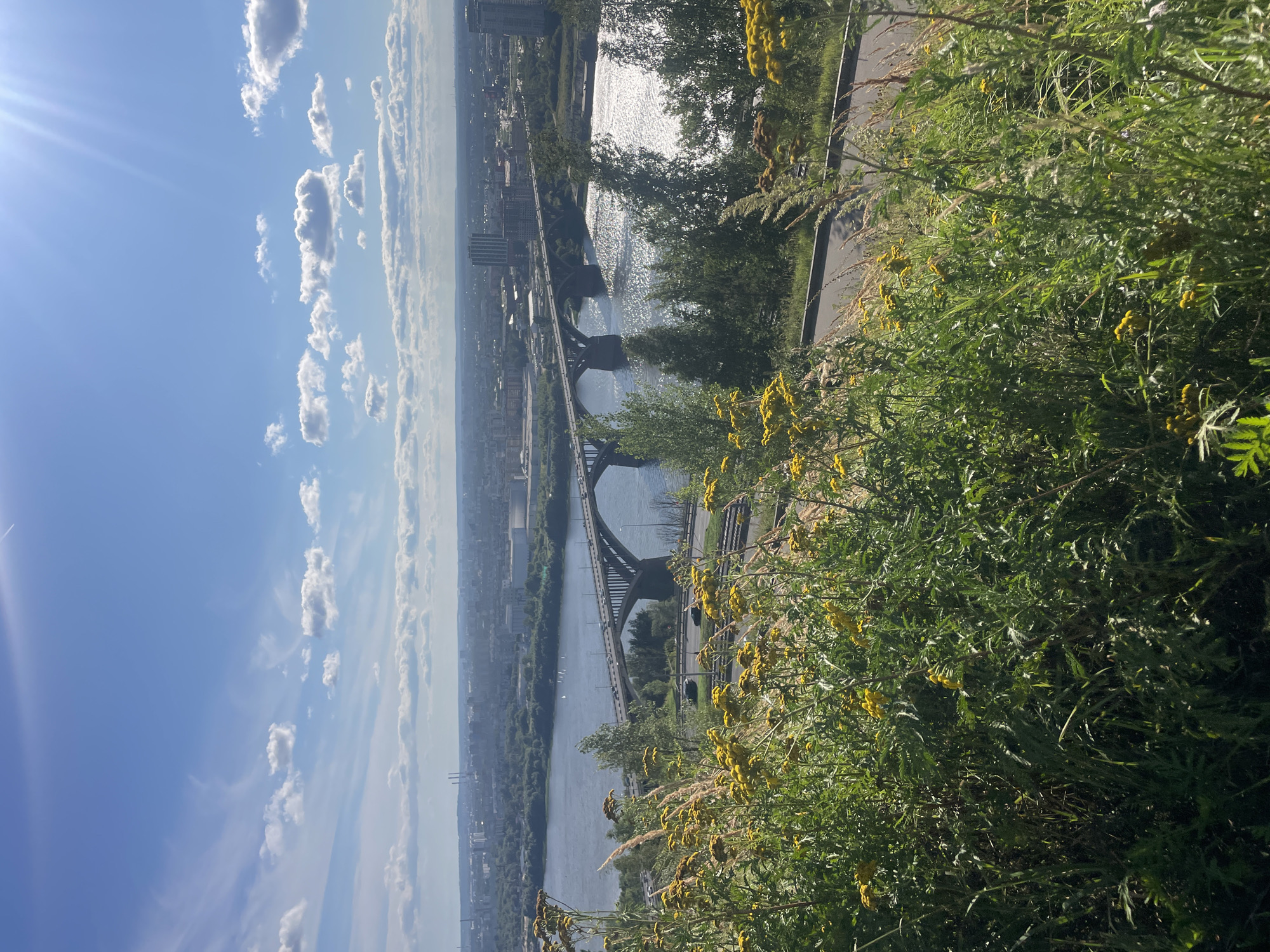 An elevated, wide shot captures a sun-drenched, natural landscape in the foreground, transitioning to a cityscape and a wide river with a prominent bridge in the mid-ground, and a hazy horizon in the background. Lush green foliage and small yellow flowers dominate the foreground, creating a sense of being on a hill overlooking the scene. A paved path is visible behind the vegetation. The river, likely the Volga River, flows from left to right across the frame. Spanning the river is a long, arched concrete bridge with multiple lanes of traffic. Cars are visible on the bridge. On the far bank of the river, a sprawling city with various buildings, including high-rises, industrial structures, and smaller buildings, stretches into the distance. The sky is a vibrant blue, with scattered white clouds and bright sunlight streaming from the upper right corner. The overall atmosphere is bright and scenic, suggesting a warm, clear day. The scene is identifiable as the Nizhny Novgorod Kremlin viewpoint, looking towards the Nizhny Novgorod-Borshchevoysky Bridge over the Volga River.