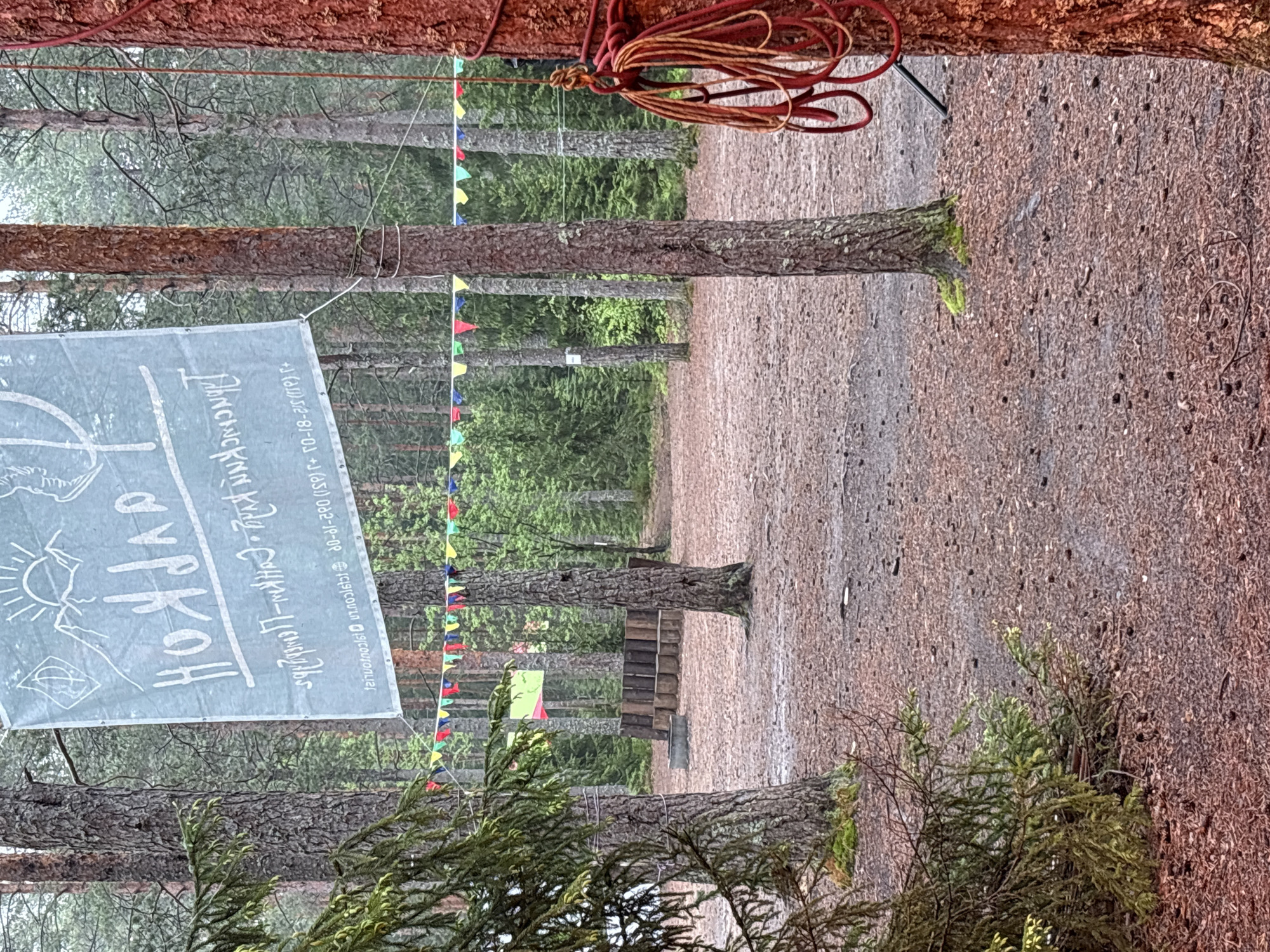 The image shows a forest scene, with tall trees and a ground covered in leaf litter. A banner with the text "Arfa Cup" and a graphic of a sun and diamond is hung across the trees. The location is Arfa, Russia, as indicated by the OCR text, which includes a phone number with the area code 811, which corresponds to the Pskov region of Russia, where Arfa is located. The presence of colorful pennant flags strung across the trees suggests some sort of organized event or gathering. A red rope is visible at the top of the frame. The scene is still and there are no visible people or animals.