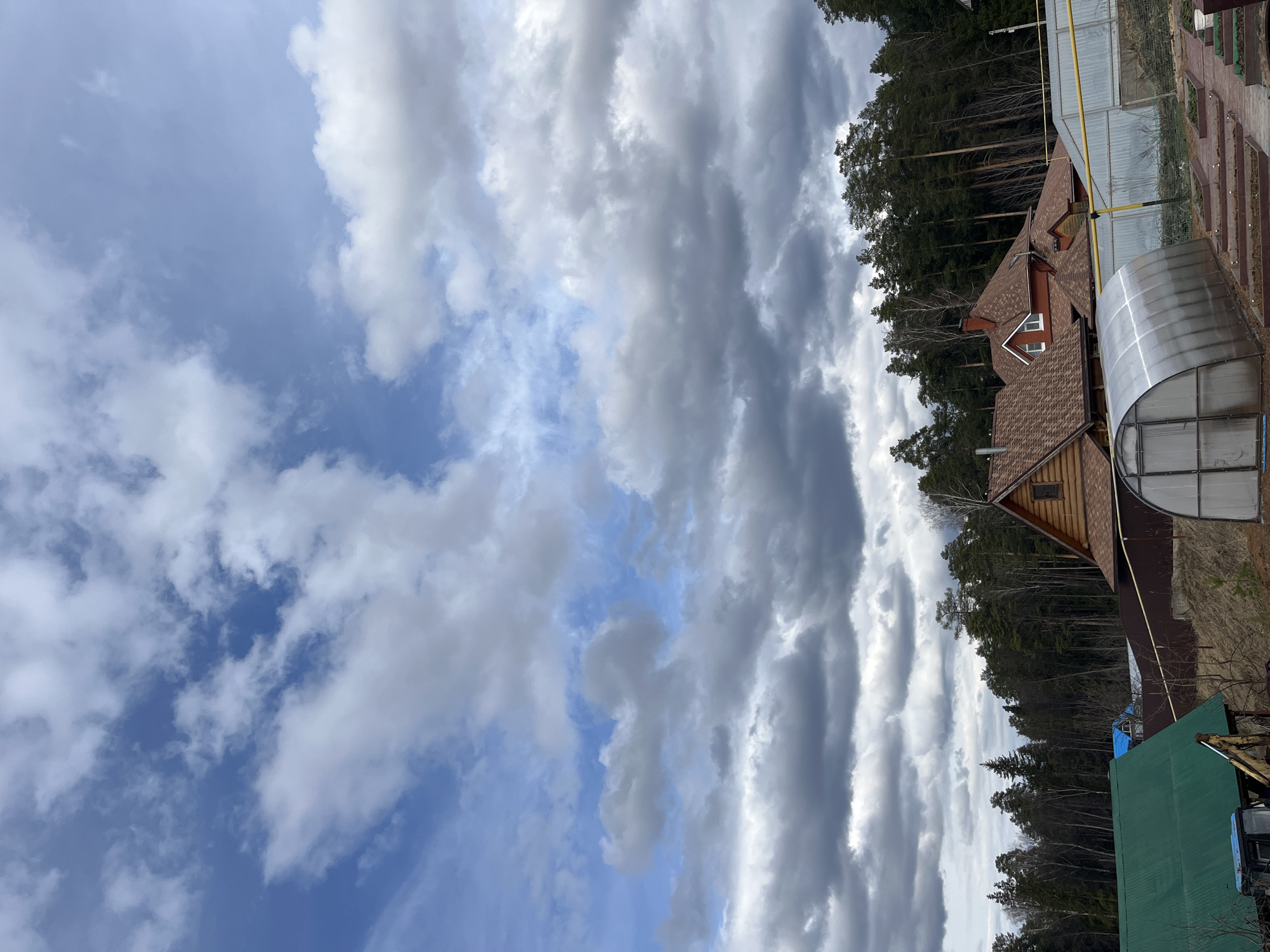 The image shows a rural scene in or near Chaikovsky, Russia, with a cloudy sky overhead. In the foreground are buildings, including a wooden house with a brown shingled roof and white-framed windows, and a metal greenhouse. Behind the house, a dense forest of tall pine trees stretches into the distance. The sky is filled with white and gray clouds, partially obscuring the blue sky. A yellow gas line is visible near the house. The season appears to be early spring or late fall, as some trees are bare.