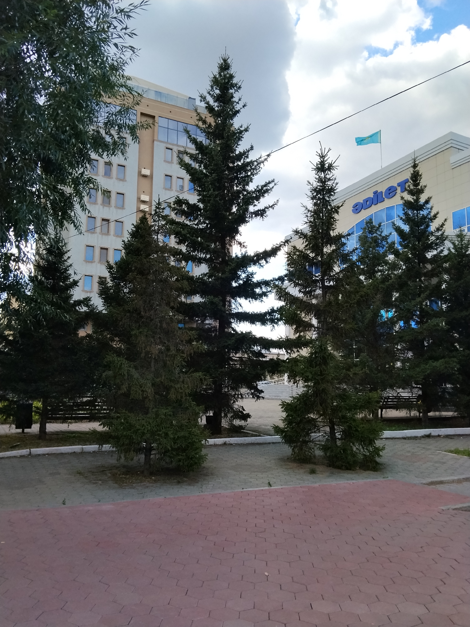 In Kokshetau, Kazakhstan, a cluster of evergreen trees stands in front of a modern, light-colored building with multiple windows and blue accents. A Kazakh flag flies from the top of the building. The foreground features a paved walkway with a red hexagonal pattern. The overall scene suggests an urban environment with a mix of nature and architecture under a cloudy sky.
