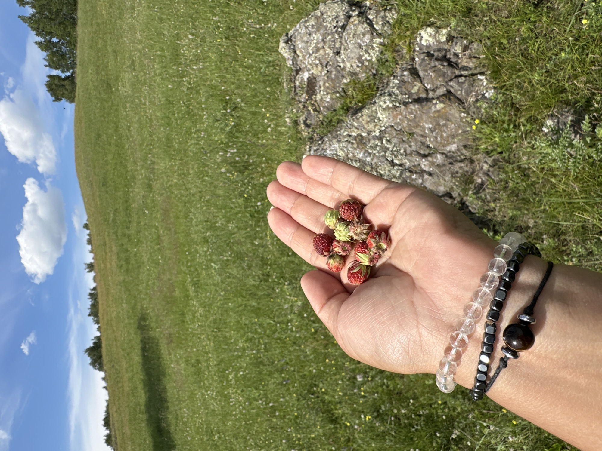 A close-up shot focuses on a person's hand holding a small cluster of wild strawberries against a blurred backdrop of a grassy hill and a blue sky with white clouds. The hand, displaying a tan complexion, is open and cupped, showcasing approximately seven red and green strawberries. The strawberries vary in ripeness, with some appearing bright red and others still green with visible sepals. The hand is adorned with three bracelets: a clear beaded bracelet, a black beaded bracelet, and a black cord bracelet with a single dark brown bead. In the background, a large, lichen-covered rock is visible to the right of the hand, partially obscured by the grassy terrain. The environment appears to be a natural, outdoor setting, possibly a meadow or hillside, with lush green grass dotted with small white and yellow wildflowers. The overall lighting suggests a bright, sunny day.