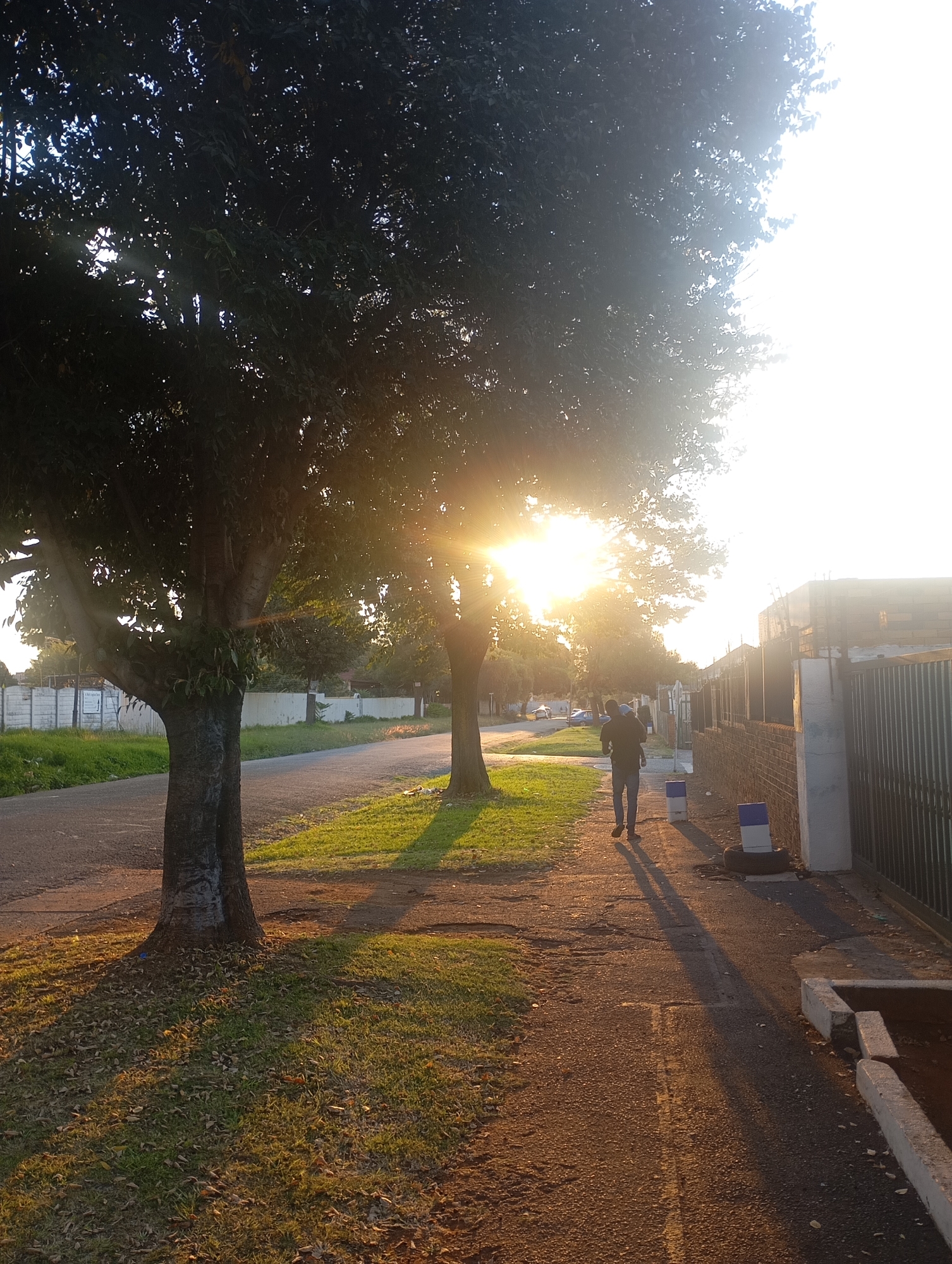 The image shows a street scene in Johannesburg, South Africa. A man is walking down a sidewalk carrying a child. The sun is setting, casting long shadows from trees lining the street. The road is paved, and there are houses with fences visible on both sides. The grass is green. There are blue and white safety bollards on the sidewalk.
