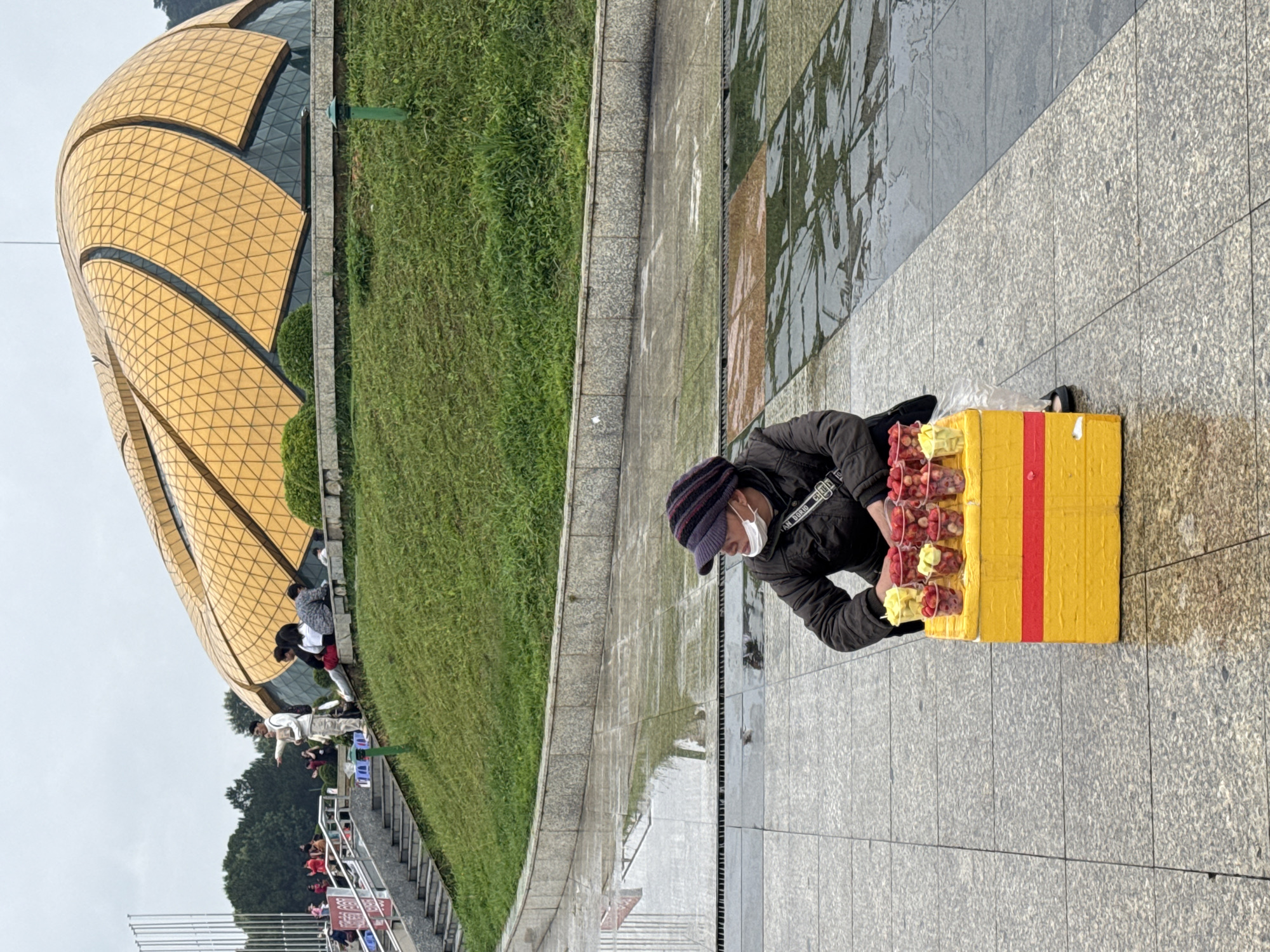 A person wearing a dark jacket, a striped hat, and a white face mask is crouching on a grey tiled surface in Da Lat, Vietnam. They are arranging containers of what appear to be cut fruit on a yellow box with a red stripe. Behind the person is a green grassy area and a building with a striking golden geometric design. In the background, a staircase leads towards a crowd of people. The day appears overcast.