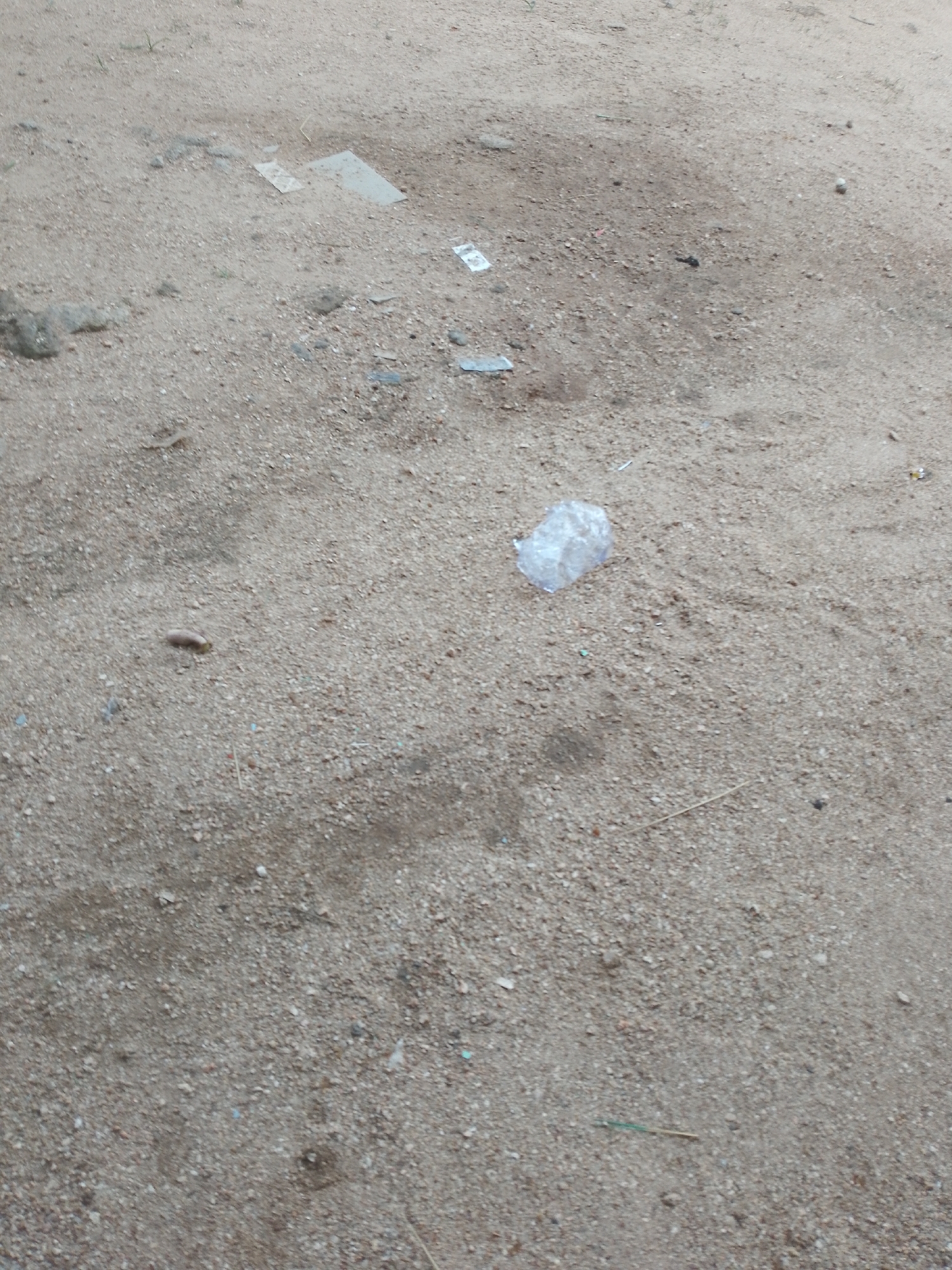 The image shows a sandy surface with scattered debris. There is a small crumpled piece of clear plastic in the center right of the image. Several small pieces of paper or plastic sheeting are visible in the upper left quadrant of the image. A dark-colored, elongated object, possibly a piece of dried vegetation or insect, is in the lower left quadrant. The environment appears to be an outdoor, unpaved area in Jauro Yinu, Nigeria.