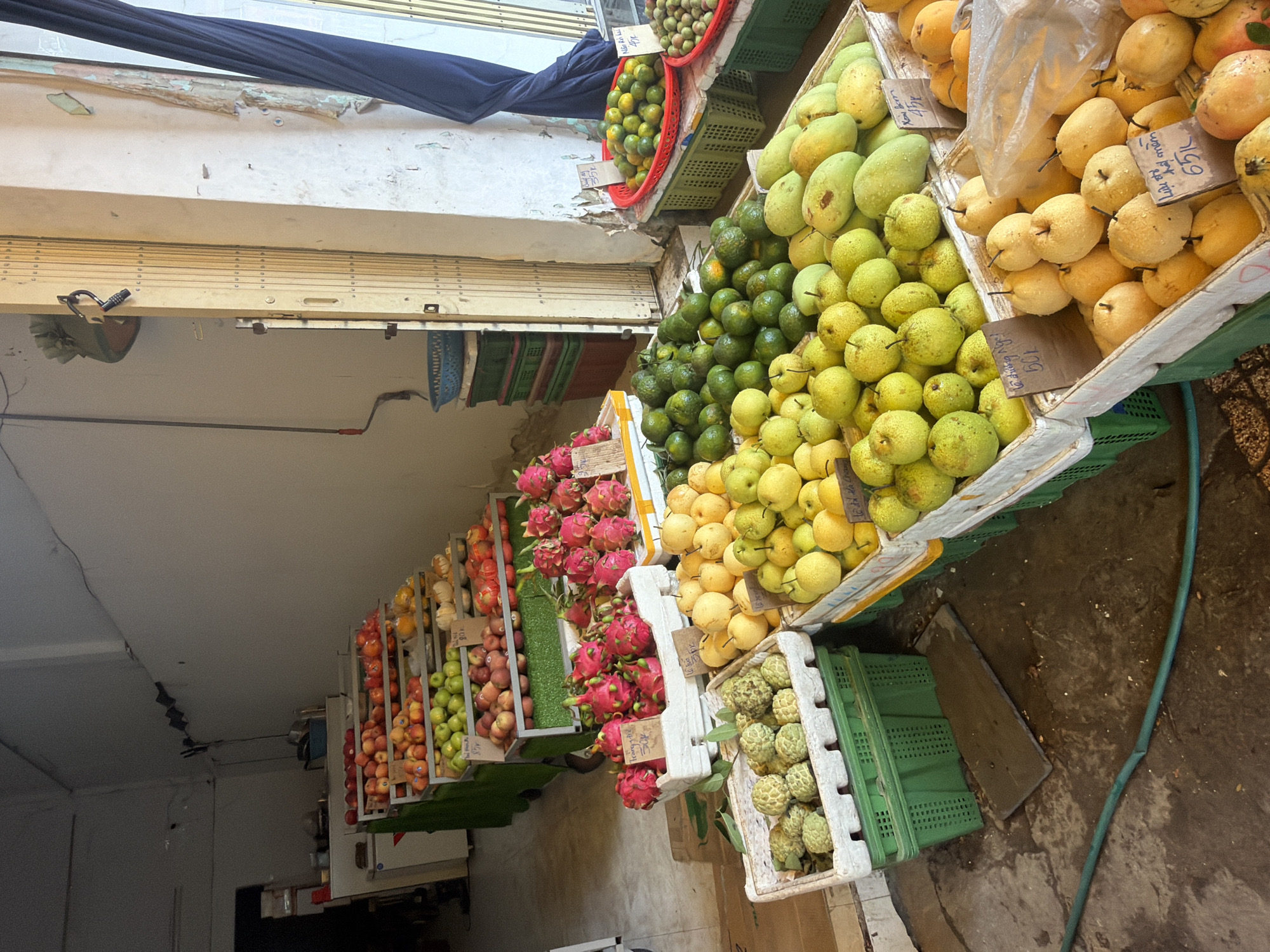 The image depicts a vibrant fruit stall located on a street in Nha Trang, Vietnam. The stall is filled with an abundant display of fresh fruits, arranged in various crates and on shelves. Prominently featured are red dragon fruits, green apples, yellow pears, mangos, avocados, and small citrus fruits. Signs with prices in Vietnamese Dong are visible, indicating the cost of the produce. The stall appears to be situated in an open-air market or along a busy street, with a closed metal gate and a blue curtain visible in the background. The ground is concrete, and a green hose lies on the floor, suggesting a cleaning or watering area. The overall impression is one of a bustling local market providing fresh produce to the community.