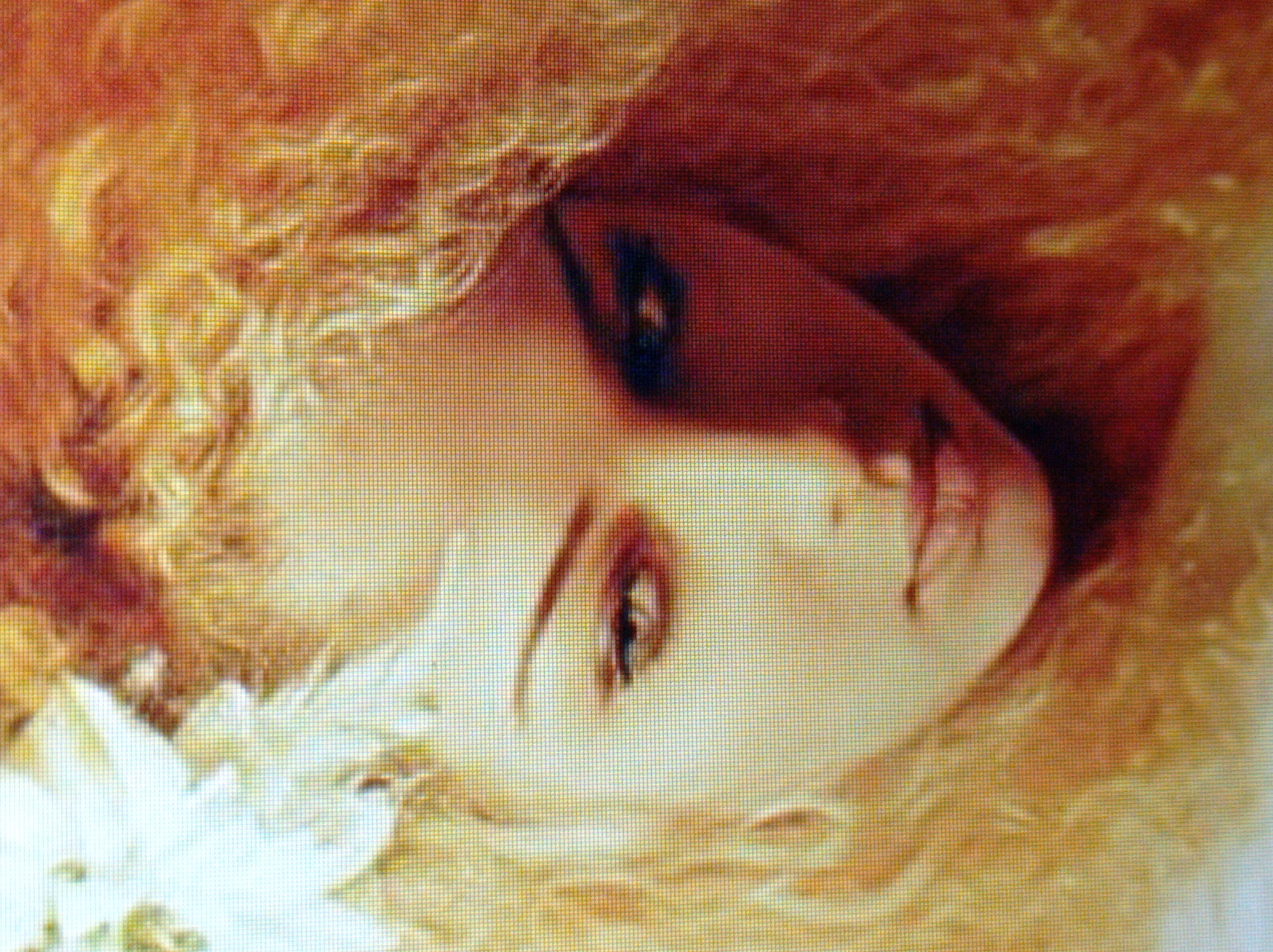 The image is a close-up portrait of a woman with blonde, curly hair and fair skin. She is looking down and to her left. Her face is partially illuminated, with the left side of her face in shadow and the right side more brightly lit. A white flower is visible in her hair on the left side of the frame. The background is a warm, blurred tone of oranges and yellows, suggesting an artistic or soft-focus photographic style. There is no identifiable information in the image to suggest a location in Mukachevo, Ukraine, or any specific urban environment.