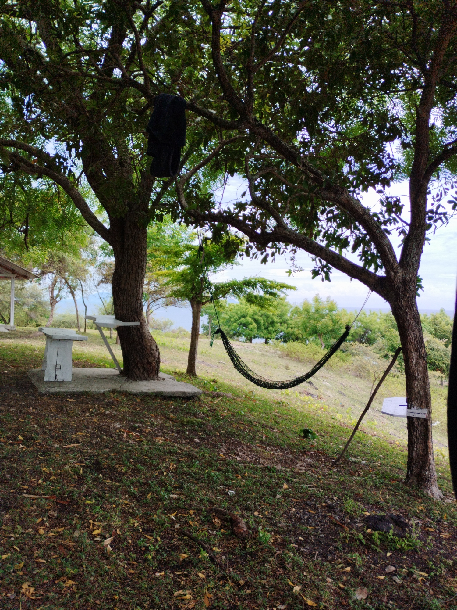 The image depicts a natural scene, likely taken outdoors in Lamreh, Indonesia. Two mature trees, one on the left and one on the right, frame the image. A hammock is suspended between them. A black garment is hanging from the tree on the left. Beside the tree on the left, there is a white structure with a table. There is another table on the right beside the tree. The ground is covered in vegetation and fallen leaves. The distant background includes green hills, vegetation, and a view of the water. The sky is overcast.