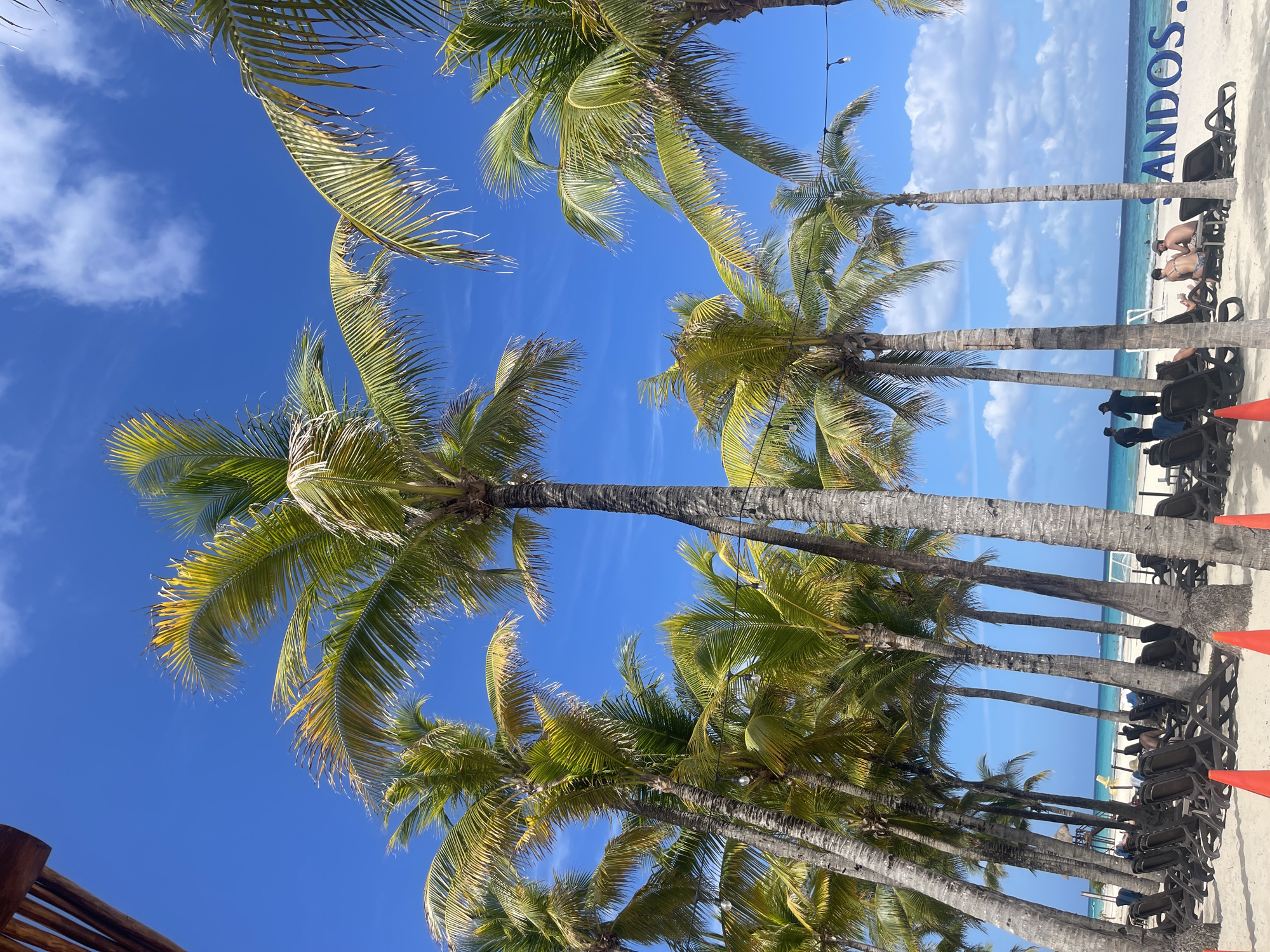 A bright, sunny day at a beach in Playa del Carmen, Mexico. Palm trees line the beach, their fronds swaying against a clear blue sky with scattered clouds. In the background, the turquoise ocean meets the white sand beach. Beach chairs are arranged in rows, some occupied by people relaxing or sunbathing. A large sign with the word "ANDOS" is visible. People are walking along the beach.