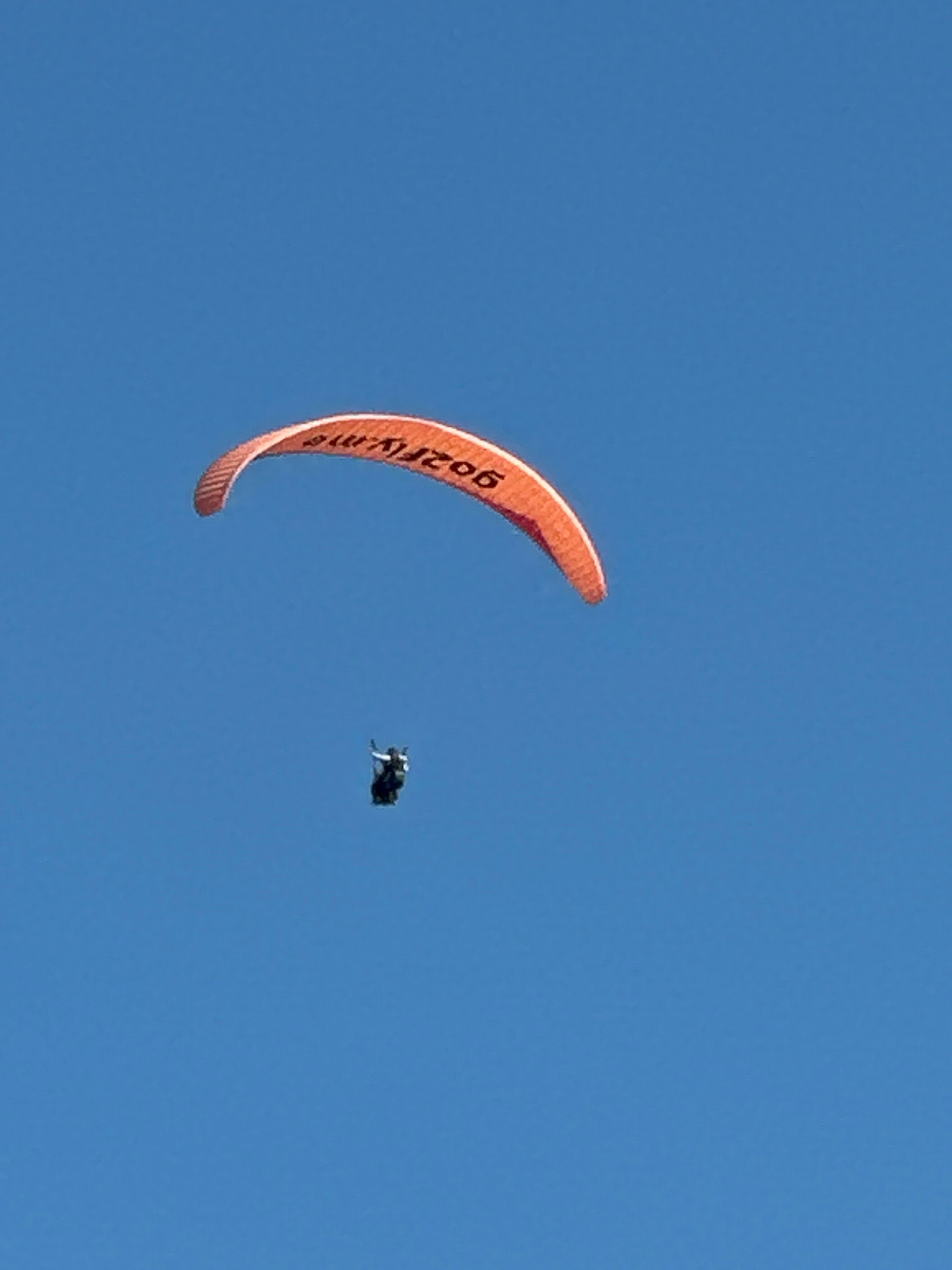 A paraglider is in flight against a clear blue sky. The paraglider wing is orange and appears to have black text on it. Below the wing, a person is suspended in a harness, also in black. The paraglider is positioned in the upper left quadrant of the image, while the person is directly below it, slightly to the left of center. The scene is devoid of any urban or geographical context, making it impossible to determine a location within Boreti, Montenegro, or any other city.