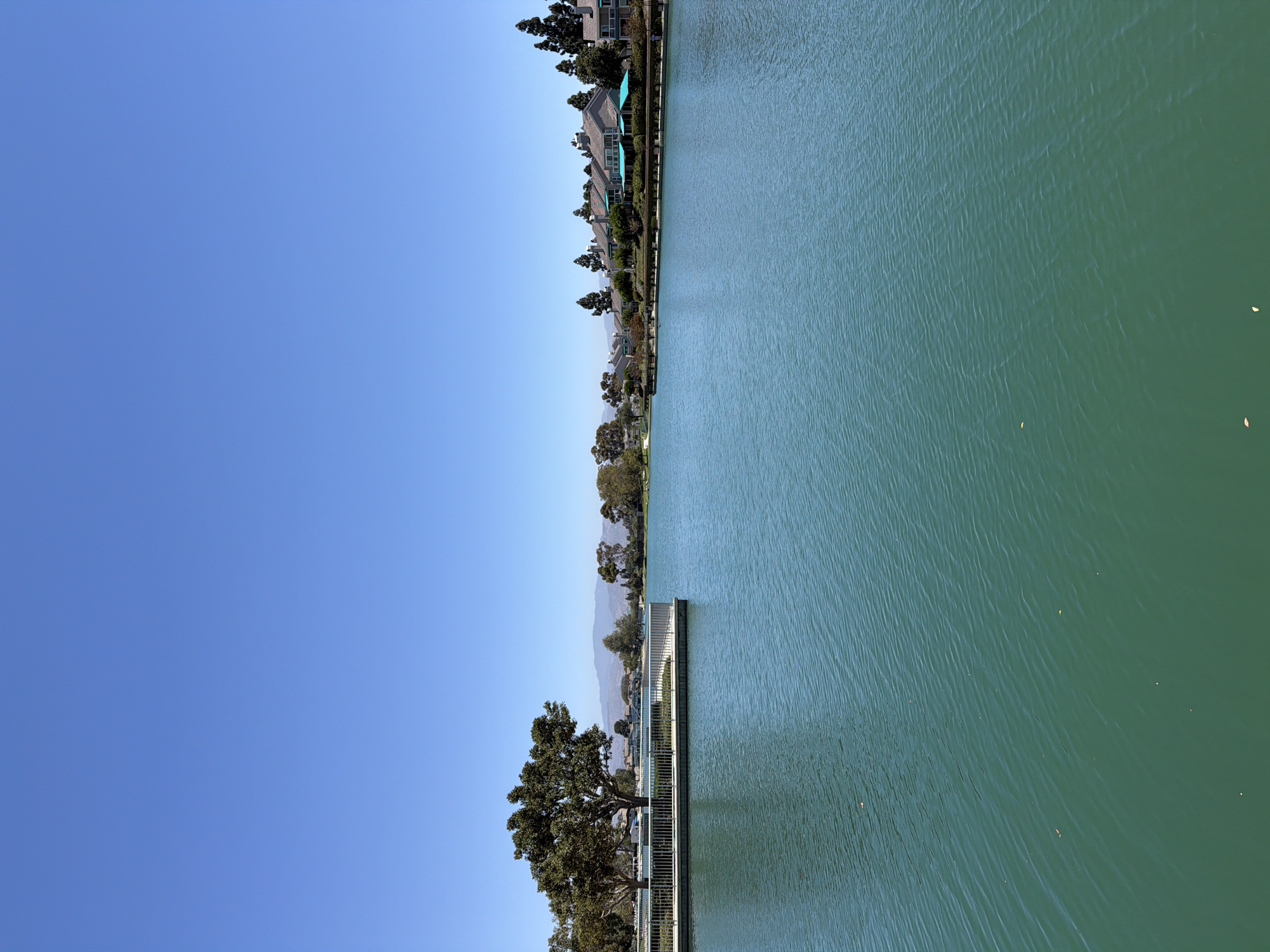 The image depicts a scenic view of the San Joaquin Wildlife Sanctuary in Irvine, California, USA. The foreground is dominated by a large body of calm, turquoise water with gentle ripples. On the left side of the image, a white pedestrian pier extends into the water, featuring a railing and lush green foliage at its base. A large, mature tree with a broad canopy stands prominently on the pier, casting a shadow.
In the background, a line of townhouses with light-colored walls and gray roofs is visible along the far shore of the lake. Some of these residences have teal-colored umbrellas on their patios. Beyond the townhouses, a range of distant hills or mountains can be seen under a clear, bright blue sky. The overall scene conveys a peaceful, natural environment within an urban setting. There are no people or animals visible in the frame.