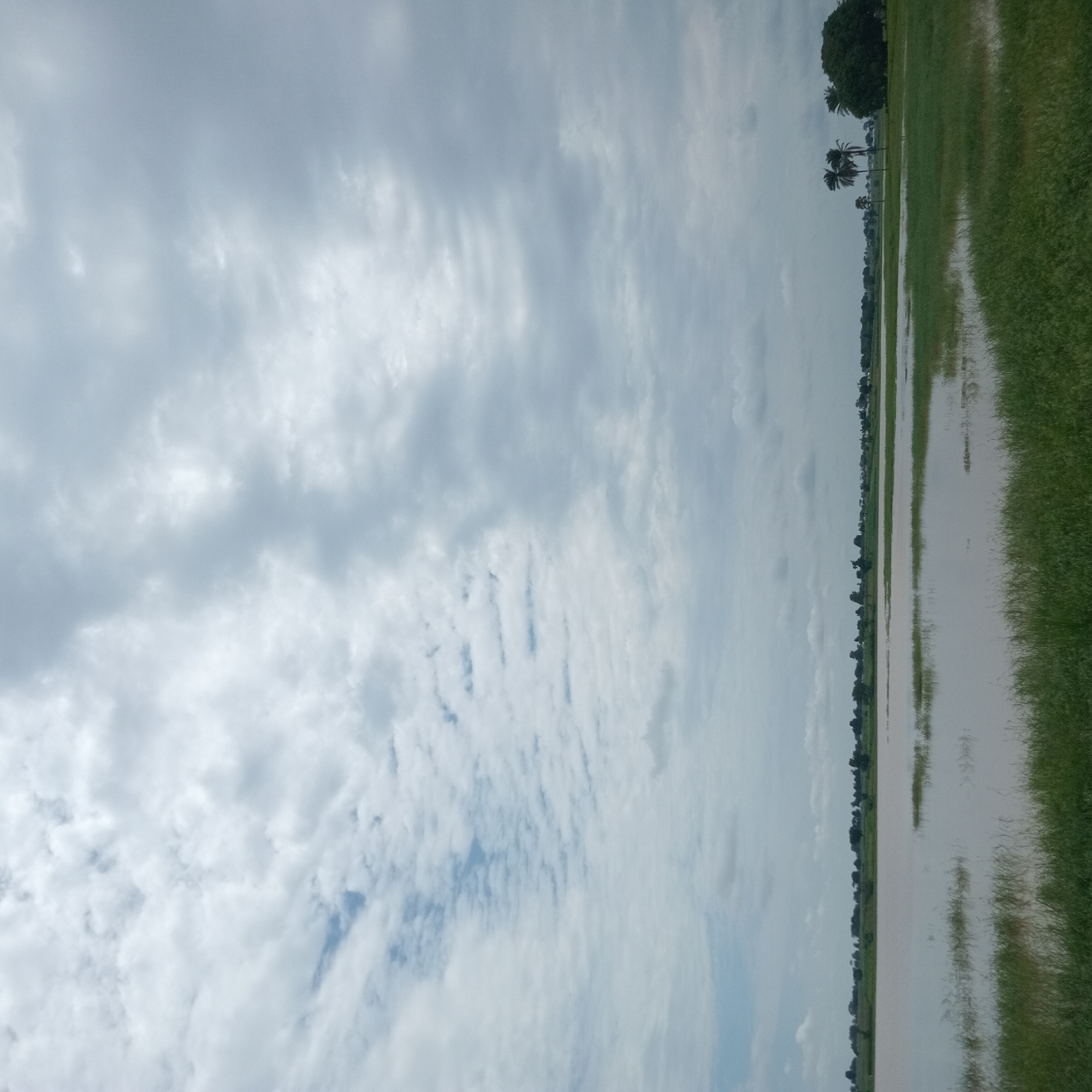 The image depicts a serene natural landscape, likely in Makwaye, Nigeria, under a cloudy sky. A body of water dominates the foreground, its surface a dull, reflective gray, with patches of green grass emerging from its edges. The water appears calm, with subtle ripples. In the middle ground, a line of trees stretches across the horizon, interspersed with what appear to be buildings or structures, suggesting a rural or semi-urban setting. The sky is filled with a variety of clouds, ranging from wispy, lighter formations to denser, darker masses, indicating an overcast or potentially rainy day. The overall atmosphere is peaceful and natural.