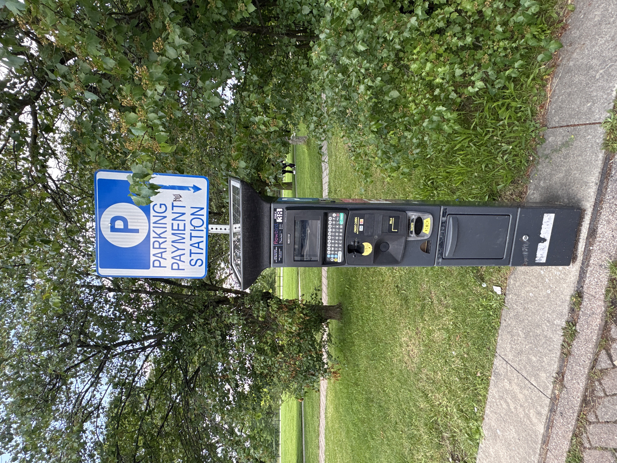 A parking payment station is positioned on a sidewalk in front of a dense green bush and a tree. A blue and white sign above the station reads "PARKING PAYMENT STATION" with a blue "P" symbol. The payment station itself is black with a solar panel on top and various slots and buttons for payment, including credit card and bill acceptors. The ground is covered in green grass, and a paved walkway is visible in the background. The sky is overcast.