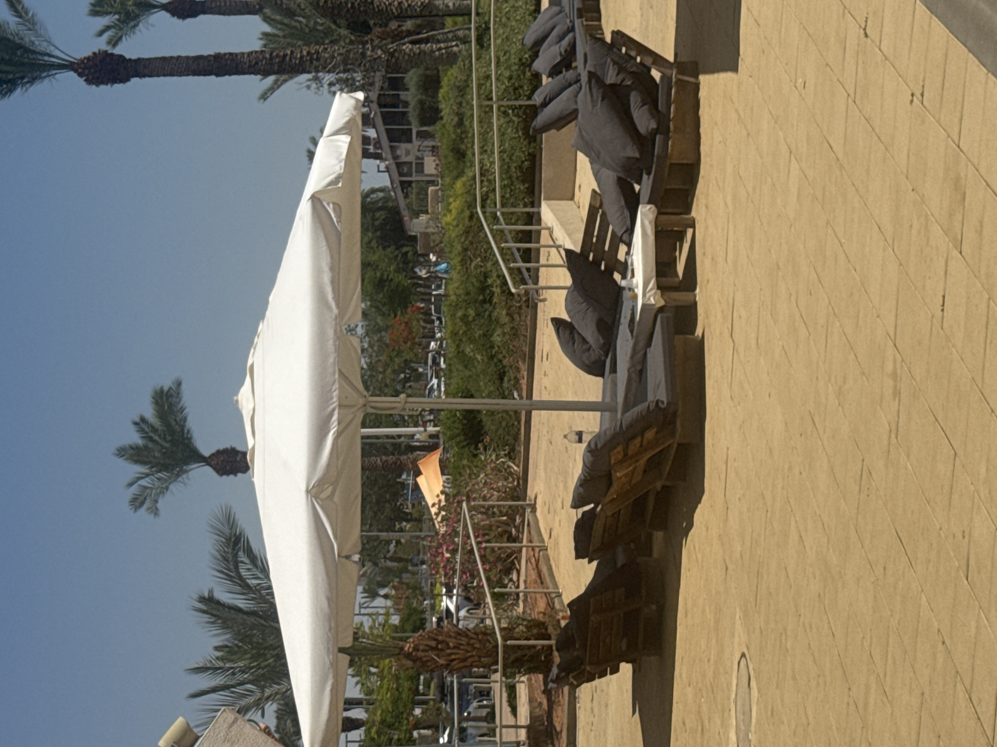 The image shows an outdoor scene in Tamar Regional Council, Israel, with a view featuring a large white parasol extending over an area likely containing seating, judging by the presence of cushioned chairs stacked on the right. Palm trees are visible against a clear blue sky in the background, adding a tropical feel to the scene. A low metal fence divides the foreground from an area with more vegetation and possibly a road, indicating a public or resort-like space.