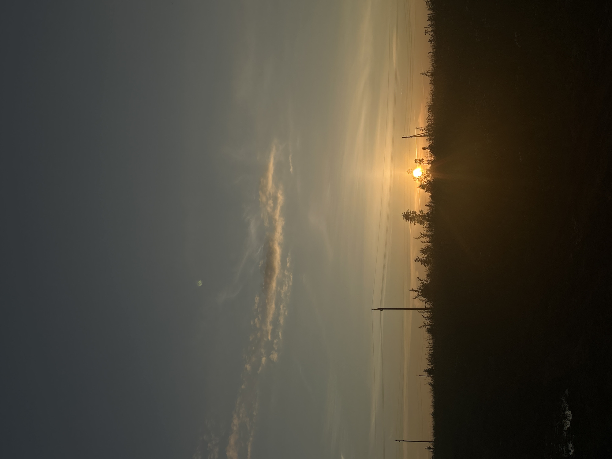 The image depicts a landscape scene during sunrise in Foky, Russia. The sun is low on the horizon, casting a warm, golden light across the sky. Thin, wispy clouds are scattered across the sky, tinged with orange and yellow from the rising sun. The foreground is dominated by a dark silhouette of trees and vegetation, indicating a forested or heavily vegetated area. Power lines and utility poles are visible against the bright sky, suggesting the presence of infrastructure near the natural landscape. The overall mood is serene and peaceful, typical of a quiet dawn. The time of day is clearly sunrise, given the low position of the sun and the quality of light. No people or text are visible in the image.