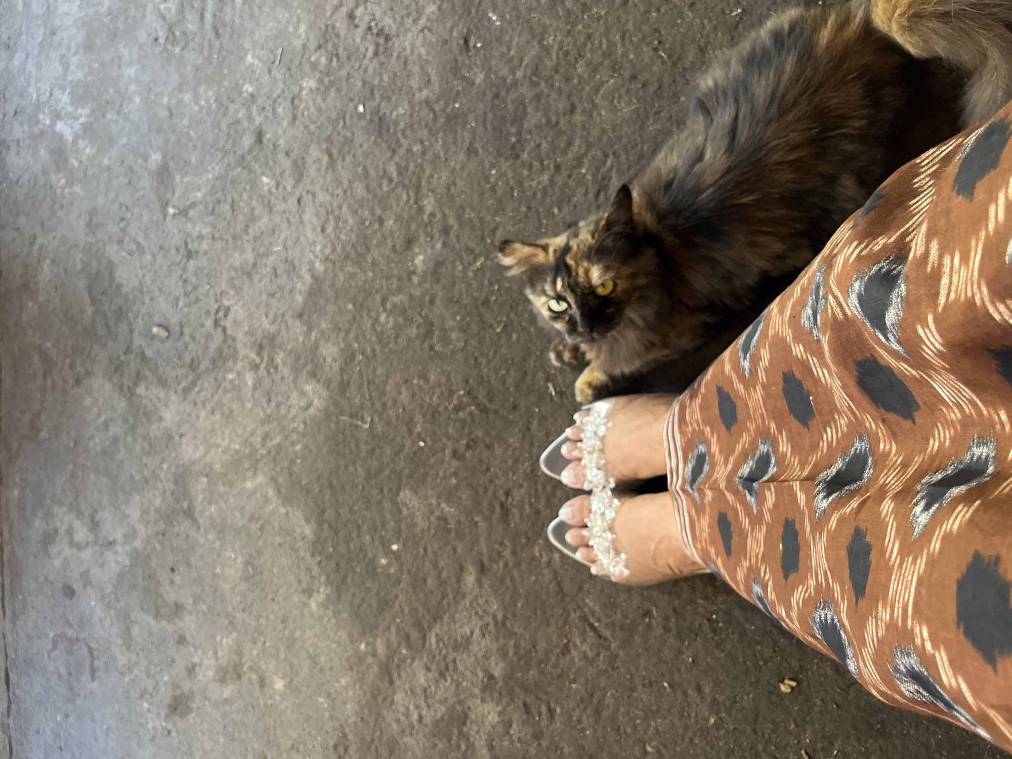 A person's legs, clad in a brown skirt with a black and white abstract pattern, and silver heels adorned with clear rhinestones, are positioned on a dark, textured ground. To the right of the person's legs, a tortoiseshell cat with green eyes is lying down and looking upwards. The ground appears to be a concrete surface, possibly a pathway or floor, with visible imperfections and scattered debris. The scene is captured from a high-angle perspective. The image does not provide any specific visual cues to determine the exact location within Mendoyo, Indonesia.
