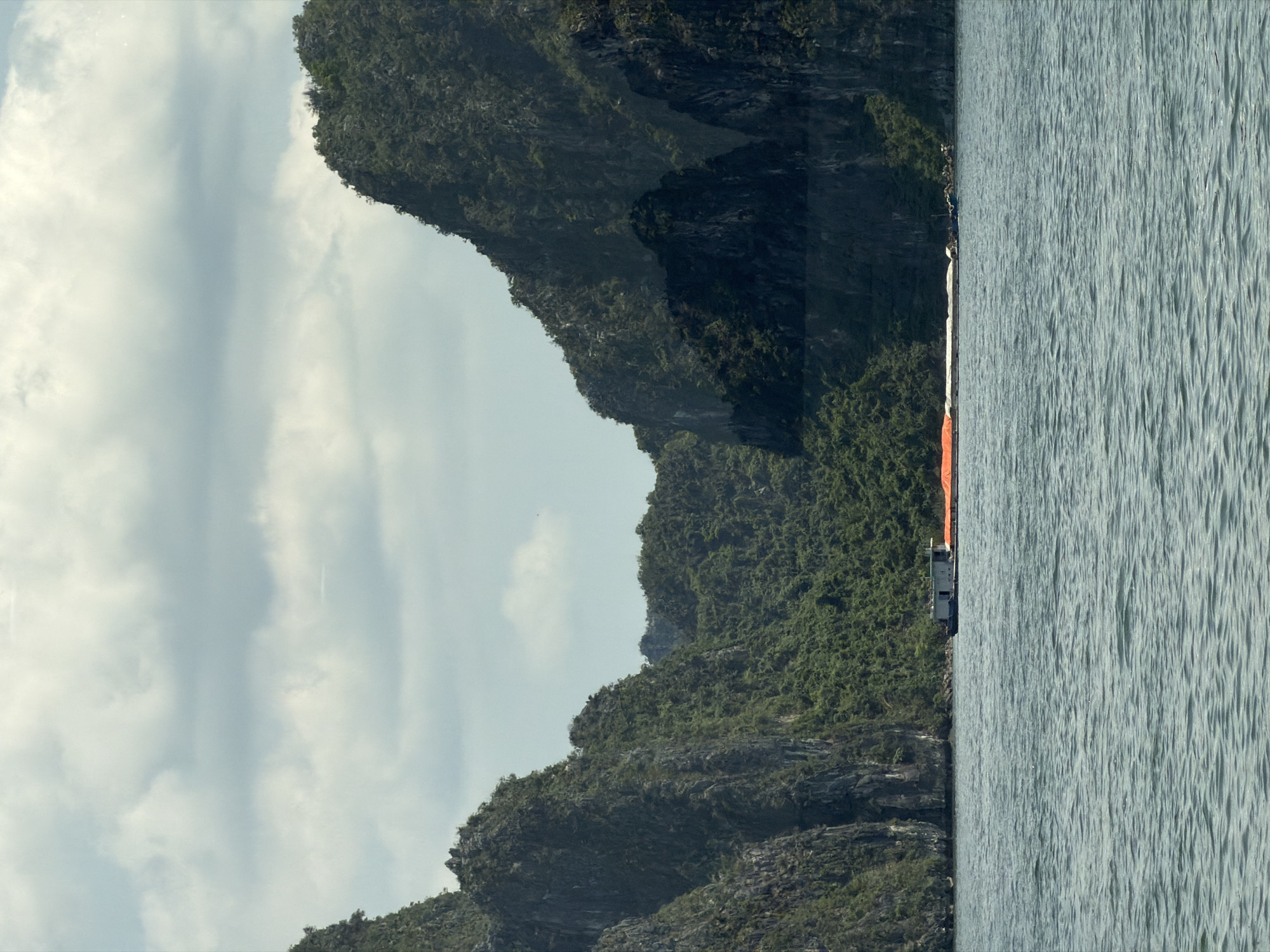 The image displays a serene landscape featuring towering limestone karsts rising from calm water under an overcast sky. The scene is dominated by the majestic karsts, which are heavily covered in dense, dark green vegetation, occupying the left and central portions of the frame. Their rugged, rocky textures are visible beneath the foliage.
To the right, a wide expanse of calm, grey-blue water stretches out, its surface marked by subtle ripples. A boat, appearing to be a medium-sized vessel with a white superstructure and a noticeable orange tarp or covering on its deck, is positioned in the water towards the middle-right, near the base of one of the karsts.
The sky, filling the upper area and visible between the karsts, is bright but cloudy, indicating an overcast day, likely during the daytime. The lighting is soft and diffuse. No people are visible in the tranquil scene. The distinctive geological formations strongly suggest the location is Ha Long Bay, consistent with the provided context of Ha Long Ward, Vietnam. There is no visible text.