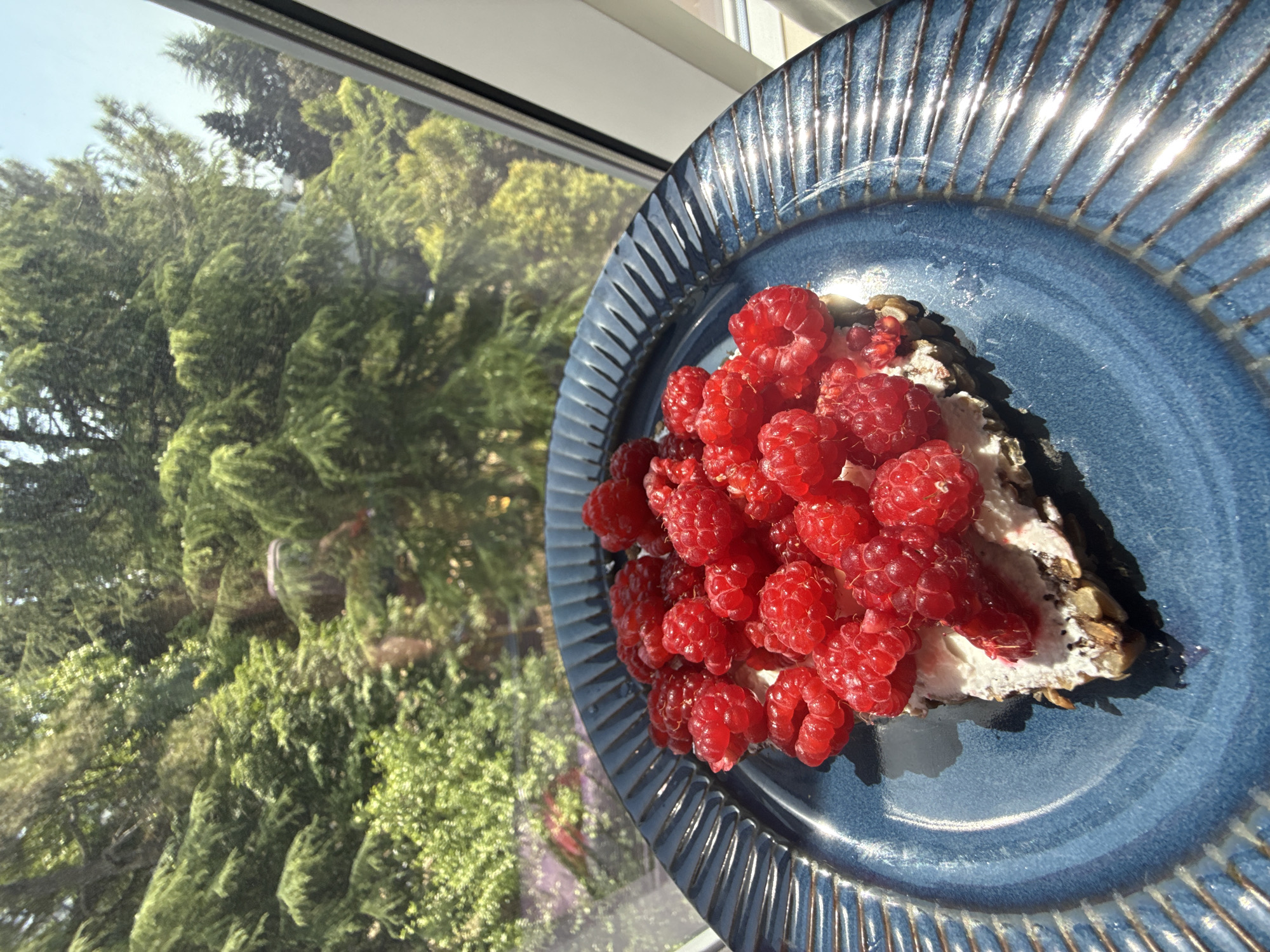 A slice of dessert, topped with fresh raspberries, sits on a blue, ribbed ceramic plate. The plate is positioned near a window, through which a lush green forest and blue sky are visible. Sunlight streams in, illuminating the dessert and the plate, casting shadows. The dessert appears to be a tart or pie with a dark crust, a white creamy filling, and a generous topping of vibrant red raspberries. The overall scene suggests a bright, sunny day, possibly in a natural setting like a forest near the city of Sochi, Russia, given the dense, green foliage seen outside the window.