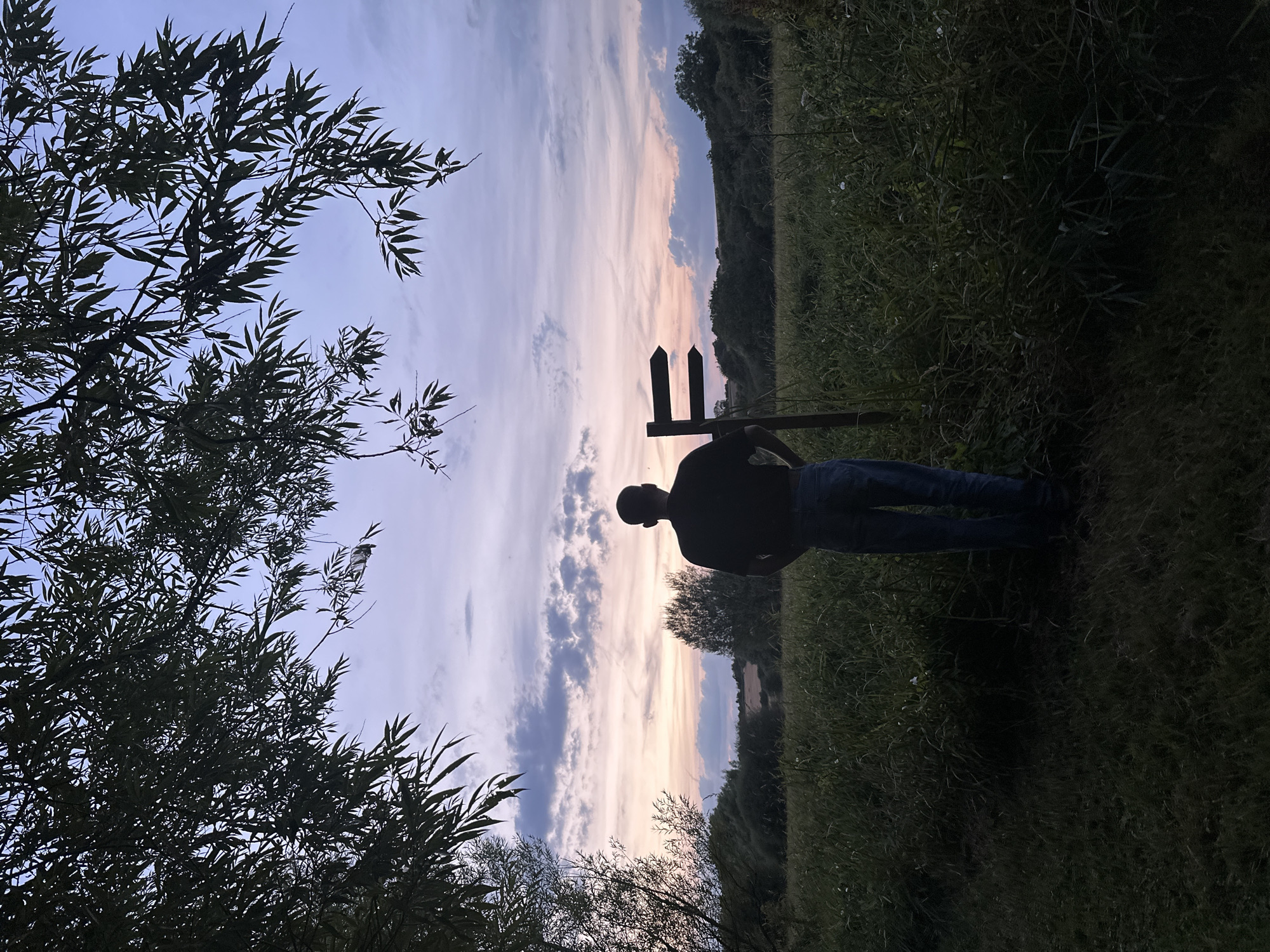A silhouette of a person stands in a grassy field facing a wooden signpost with two directional arrows. The person is wearing a dark shirt and blue jeans. The signpost is to the right of the person, and the arrows point to the left and right. Behind the person and signpost is a field of tall grass and trees. The sky above is a blend of purple, pink, and orange, indicating either sunrise or sunset. Lush green foliage from a tree frames the top of the image. The scene appears to be in a rural or park-like setting.