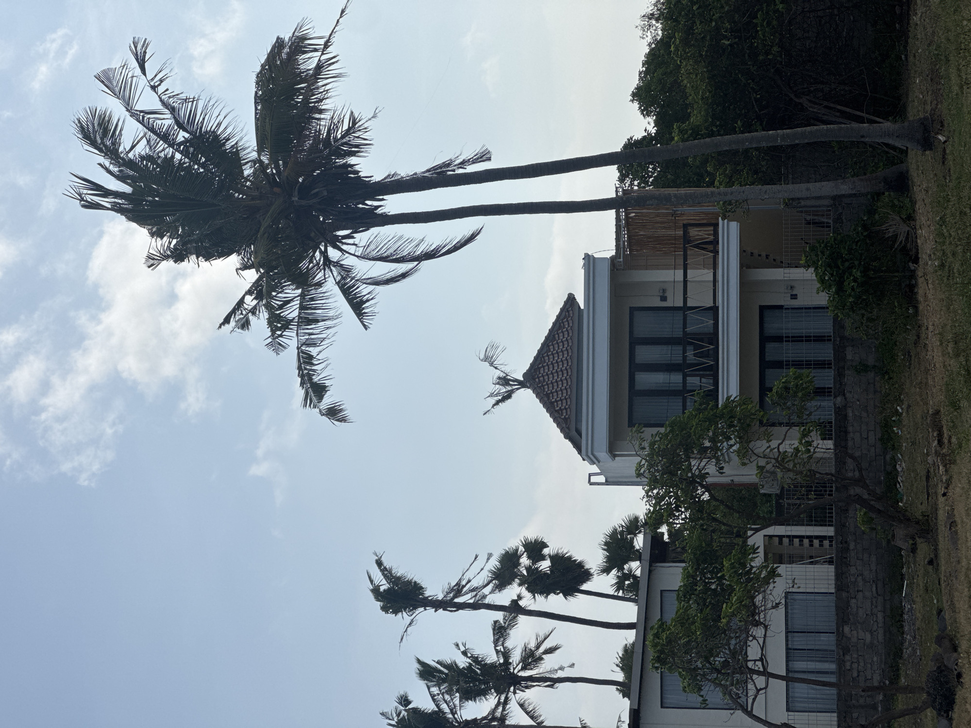 This is a daytime, medium-shot, eye-level, exterior photograph of a modern, multi-story building in Blahbatuh, Indonesia. The building has a white facade, dark-framed windows, and a tiled roof. There are two large palm trees in the foreground, with their fronds extending towards the sky and obscuring part of the building and the bright, partly cloudy sky. A dense collection of trees and foliage forms a backdrop to the right of the building. A stone wall runs along the base of the building, separating it from the dry, grassy ground in the foreground. The scene appears tranquil and tropical.