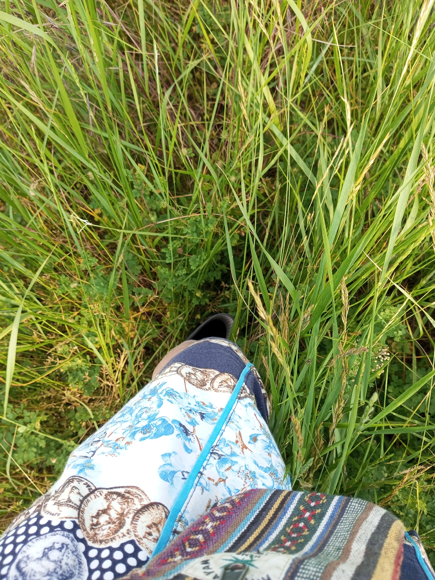 A high-angle, full shot shows a person's legs from the knees down, standing in tall green grass. The person is wearing patterned pants, a black shoe, and a black sock. The grass is lush and green with some dried stalks interspersed throughout. The scene appears to be outdoors in a natural setting. There are no discernable buildings or specific urban features in the image.