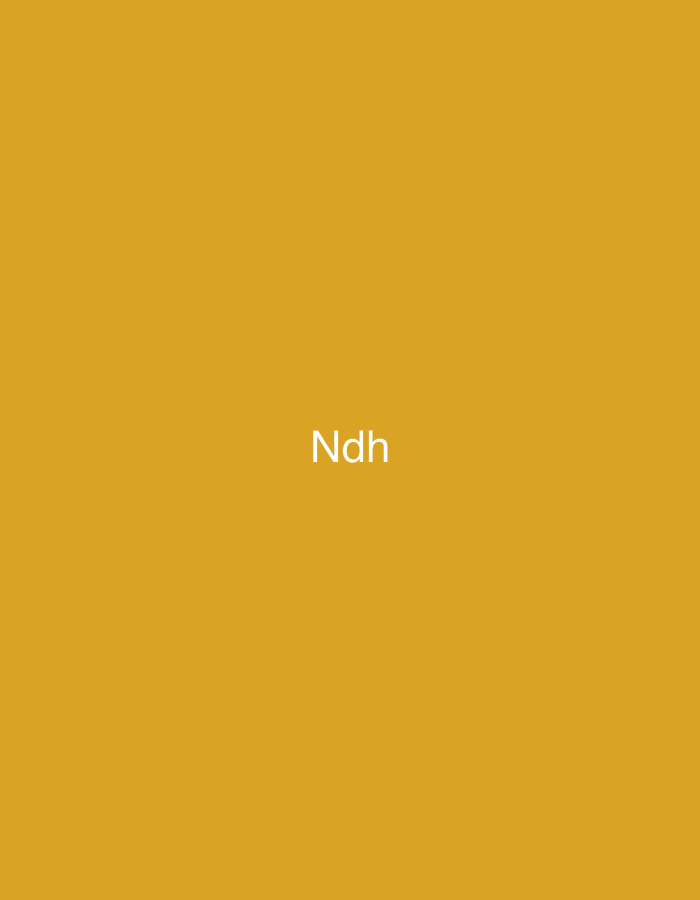 The image displays a solid, uniform mustard yellow background. Centered horizontally and vertically on this background is the text "Ndh" rendered in plain white sans-serif letters. The scene is devoid of any other discernible objects, subjects, or environmental elements. This image is observed in Casablanca, Morocco.