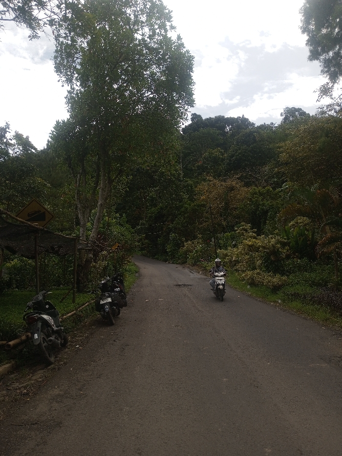 The image depicts an outdoor scene on a two-lane asphalt road in a heavily vegetated area, identified as Sarwahi Mal., India. The road, which shows minor surface irregularities, curves gently to the right as it recedes into the distance, ascending slightly towards a dense tree line. On the left side of the road, four motorcycles are parked on a dirt shoulder beneath a rudimentary shelter constructed from a dark fabric tarp supported by wooden poles. A yellow diamond-shaped road sign, indicating a steep downgrade, is visible above this shelter. Directly adjacent to the parked motorcycles, tall, leafy trees line the road. Further into the scene, a single individual operates a white scooter, traveling towards the viewer on the right side of the road. The rider is wearing a helmet and light-colored attire. The background consists of a dense forest canopy under an overcast sky.