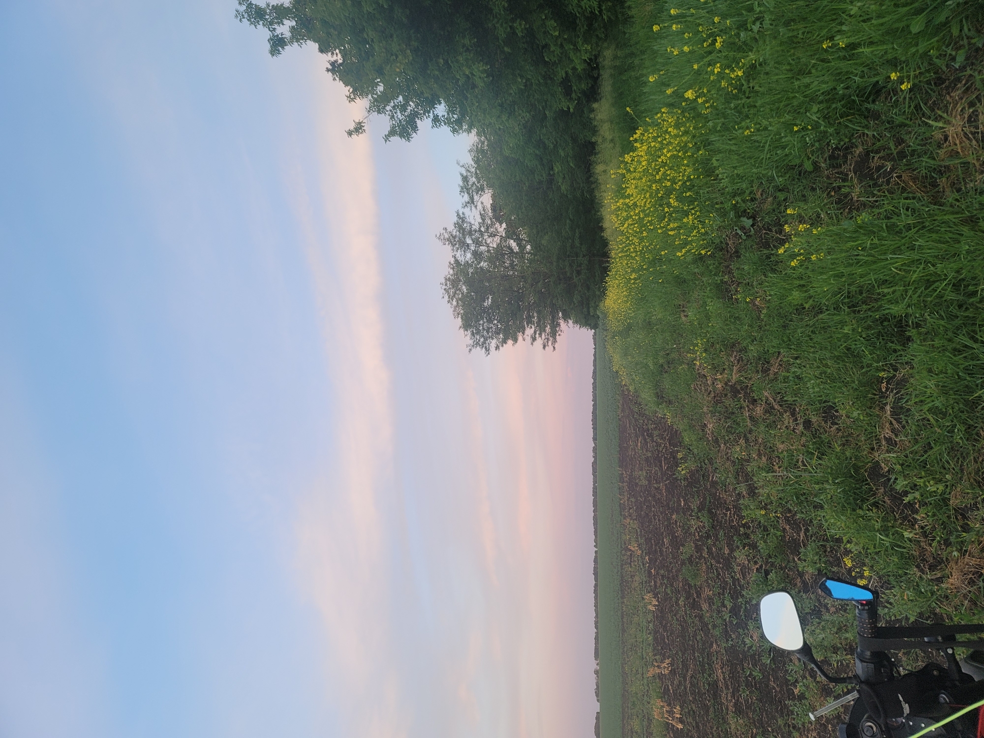 A low-angle, eye-level shot captures a rural landscape at dusk. The sky, a gradient of soft blue and pale pink, stretches across the upper portion of the frame. The horizon is marked by a line of trees and a field of green crops. In the foreground, a dark, plowed field transitions into a vibrant meadow filled with small yellow flowers. To the left, the handlebars and a side mirror of a black motorcycle are visible, reflecting the sky. The scene is tranquil and suggests an outdoor excursion in the countryside.