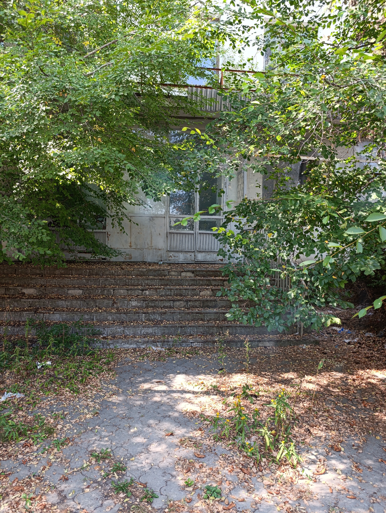 The image shows the entrance to an abandoned building in Dubăsari town council, Moldova. Overgrown trees and bushes obscure the view of the building's facade, which appears to be made of concrete and metal. A set of concrete stairs leads up to a double door with glass panels, some of which are broken. The ground in front of the stairs is covered with fallen leaves and debris, and there is some trash scattered around. The overall scene suggests neglect and disuse.