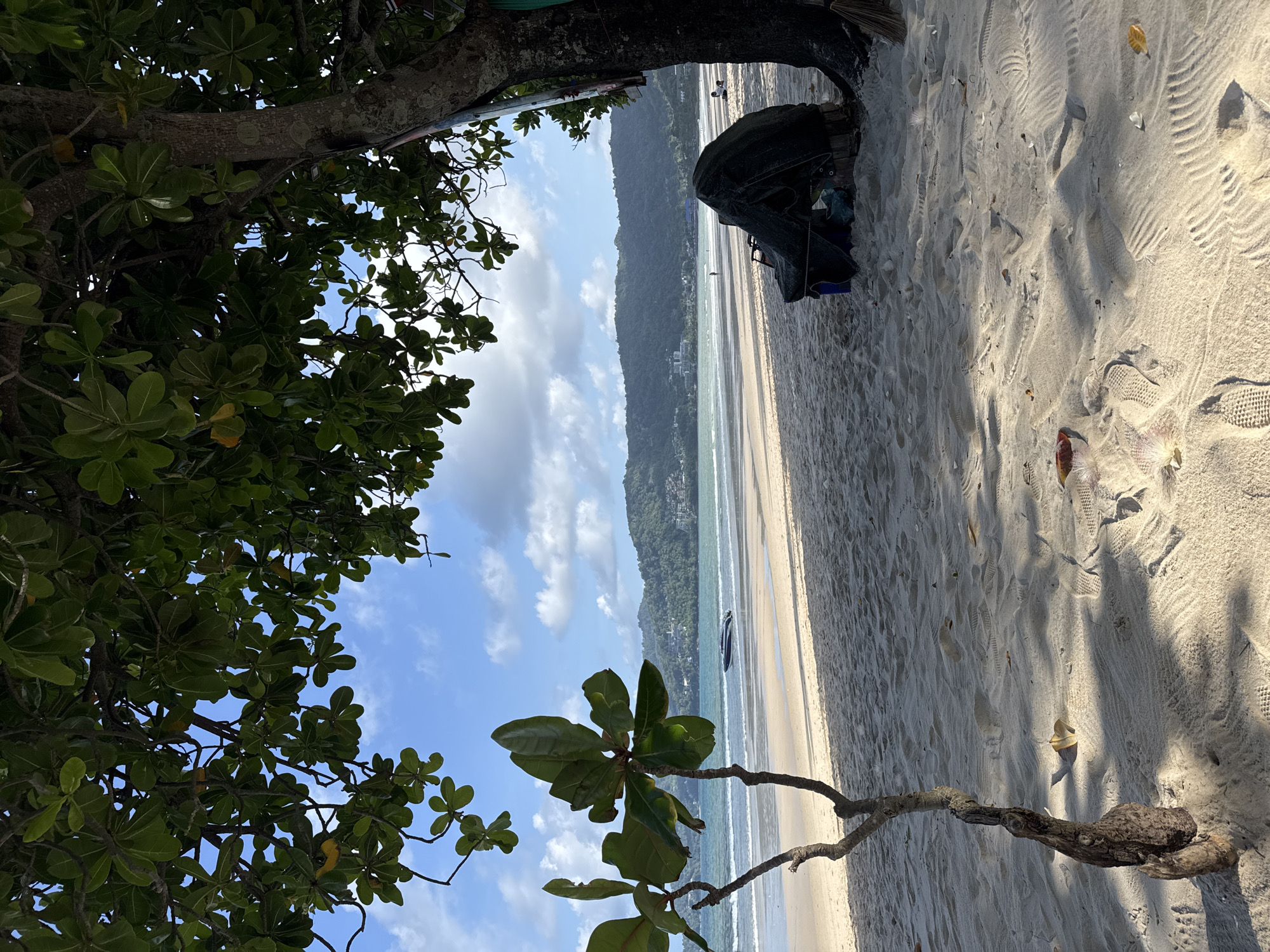This is a medium-shot, eye-level, outdoor photograph of a serene beach scene in Patong, Thailand. The foreground is dominated by a sandy beach with clear footprints and fallen leaves, shaded by the lush green canopy of a large tree to the right. To the left, a smaller tree with broad leaves stands in the sand. In the middle ground, the gentle waves of the turquoise ocean meet the shore, and a dark, sleek boat is visible on the water. The background features a long stretch of beach, with a distant, lush green hillside dotted with buildings. The sky is a vibrant blue, with scattered white clouds, suggesting a partly cloudy day. To the right, near the base of the large tree, a dark tarp-covered object with a blue bin and other items sits on the sand. A lone person is visible in the distance on the beach, and another two individuals are seated further down the shore.