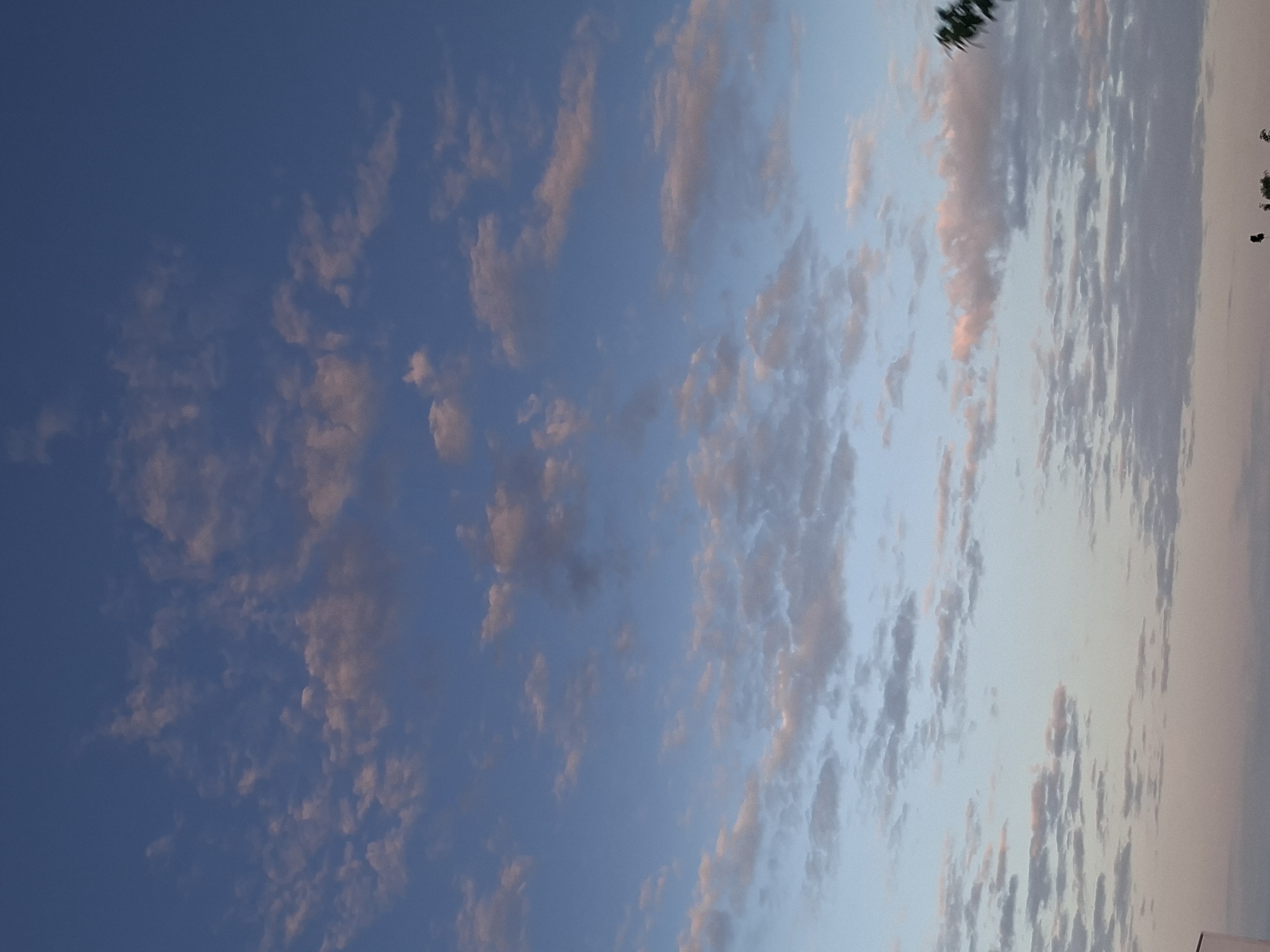 The image shows a sky with scattered clouds. The sky transitions in color from a darker blue on the left to a lighter blue and then to a pale pink/white on the right, indicating a gradient likely caused by sunrise or sunset. The clouds on the left side appear smaller and more broken, with a pinkish hue catching the light. As the image progresses to the right, the clouds become more elongated and stratified, reflecting the lighter tones of the sky. There are dark shapes at the very top right corner of the image, possibly trees or foliage. There is no direct indication of the city of Skutare, Bulgaria, in the image.