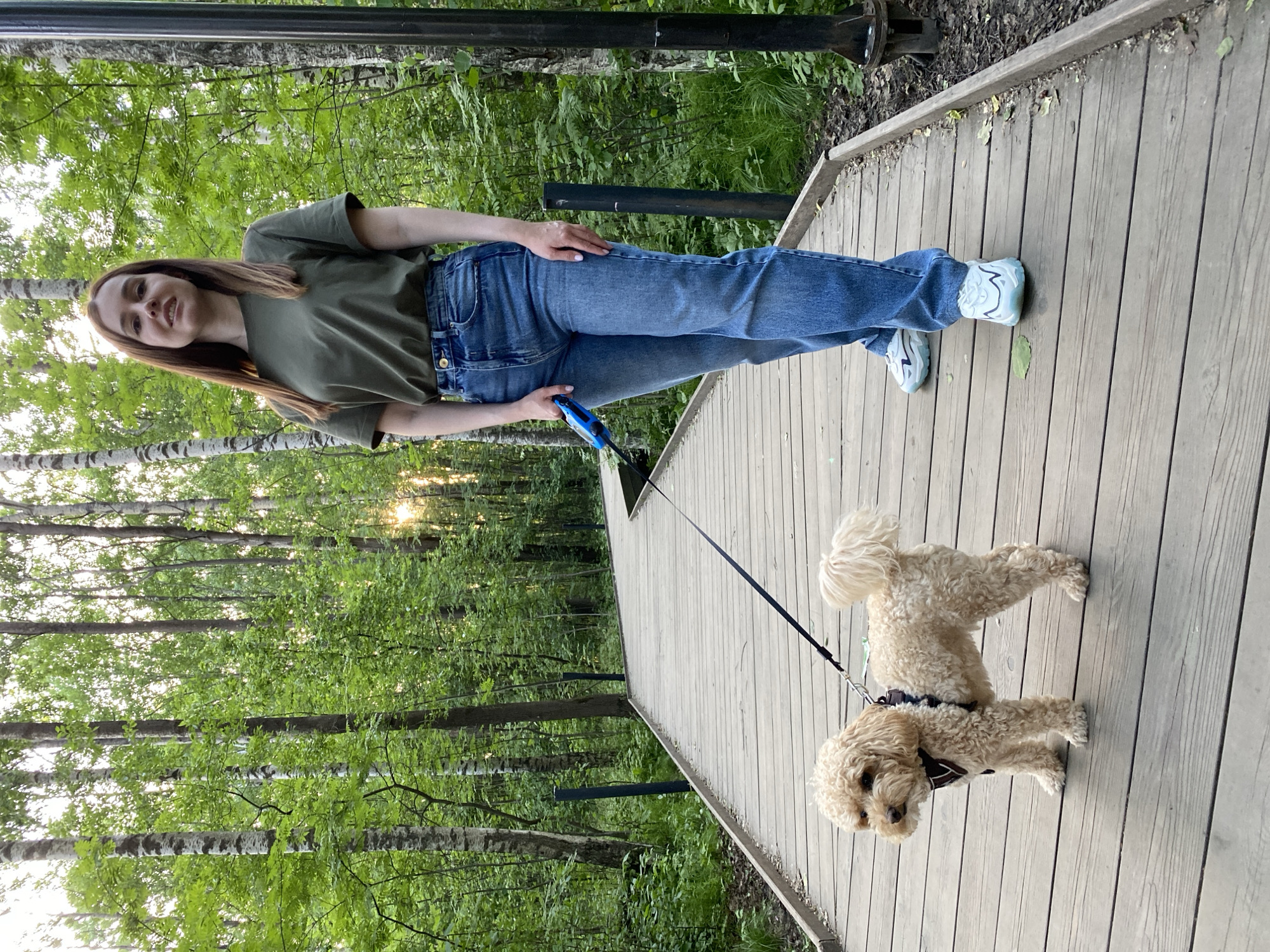 A young adult female and a small, light-colored, curly-haired dog are positioned on a wooden boardwalk path within a dense forest, located in an unknown city in Russia. The female, estimated to be in her 20s to 30s, has long brown hair and is wearing a short-sleeved, olive green t-shirt tucked into high-waisted blue denim jeans, paired with light-colored athletic shoes. She stands with a slight smile, looking directly at the viewer, holding a blue retractable dog leash in her left hand. The leash connects to a dark harness worn by the dog. The dog, resembling a poodle, is standing to the female's left, facing away from the viewer and looking towards the left side of the frame. The wooden path is constructed from light-colored planks laid perpendicularly, with dark wooden borders, and curves gently into the distance on the right. The surrounding environment consists of numerous tall deciduous trees with green foliage, including distinctive white-barked birch trees, forming a dense canopy. Green undergrowth covers the forest floor on either side of the path. A warm, golden light source, consistent with a low sun (sunrise or sunset), is visible through the trees in the background, casting a soft glow. Several dark, slender poles, possibly integrated lighting fixtures or markers, are spaced along the path.