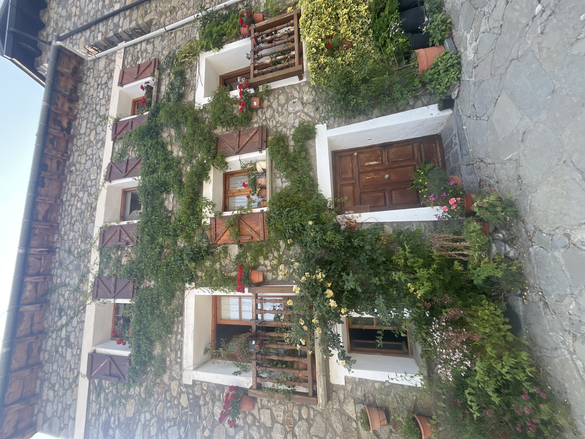 The image captures the exterior of a stone building in the city of Benasque, Spain. The facade is adorned with climbing green vines and potted red and yellow flowers, creating a rustic and charming appearance. Several windows with wooden shutters are visible, some open to reveal interior views and others closed. A wooden balcony with a railing extends from one of the windows. The ground in front of the building is paved with irregular stone slabs. A wooden door is situated at the entrance. The scene suggests a residential or commercial building in a traditional architectural style, possibly in a mountainous region given the stone construction and greenery. The lighting indicates it is daytime.