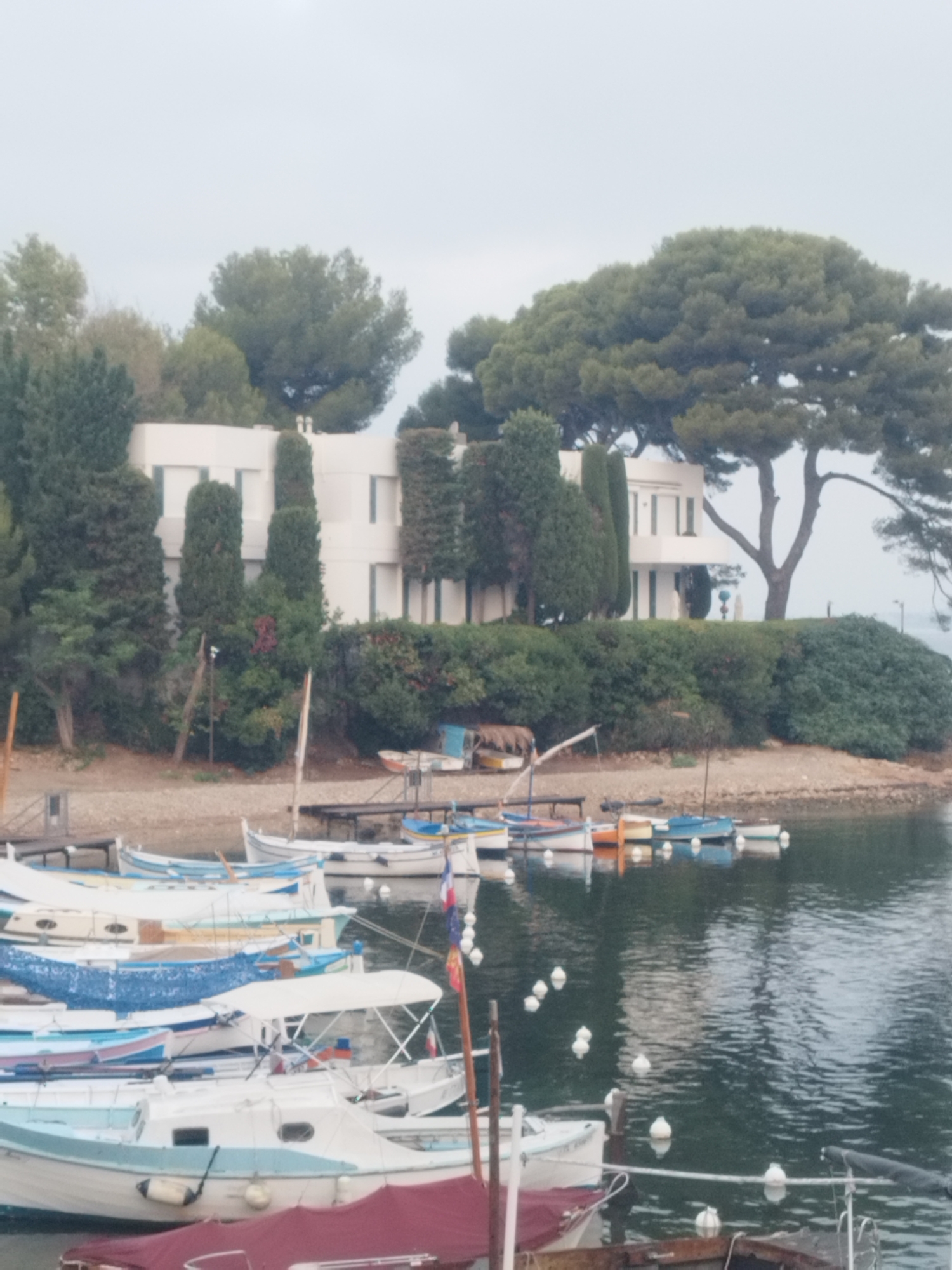 The image depicts a waterfront scene in Antibes, France, likely near the Port Vauban area. In the foreground, a collection of small boats are docked, some with white hulls and blue accents, others with colorful stripes. Many of these boats are moored together, creating a crowded harbor. A few of the boats have canvas coverings or Bimini tops. The water is calm with slight ripples, reflecting the overcast sky.
In the middle ground, a wooden dock or pier runs along the waterfront, with more boats tied up. Beyond the boats and dock, a shoreline is visible, covered in greenery and shrubs. Behind the vegetation, a modern, multi-story white building with geometric lines and large rectangular windows stands out. This building appears to be a residence or a small hotel. Several tall, dark green cypress trees are strategically planted around the building and along the shoreline, creating a contrast with the white structure.
In the background, a large, mature pine tree with a distinctive, sprawling canopy dominates the right side of the frame. Its branches extend towards the water. The sky is uniformly gray and overcast, suggesting a cloudy day. The overall impression is of a tranquil, coastal town setting, possibly a private marina or a section of a larger port. There are no visible people in the image.