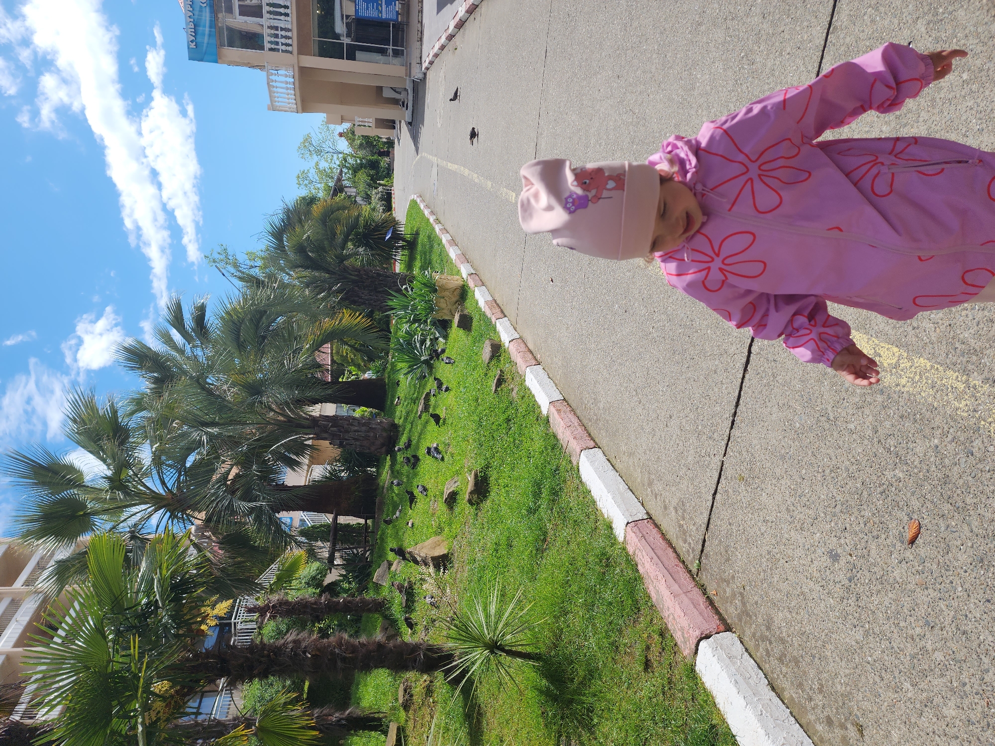 A young child wearing a pink hat and jacket is walking on a gray concrete sidewalk on a sunny day. The sidewalk is bordered by a curb painted white and red. To the left of the sidewalk is a green lawn with palm trees and other plants. Several pigeons are scattered on the lawn. In the background, buildings are visible under a blue sky with white clouds. The location is likely Sochi, Russia, given the palm trees and architectural style.