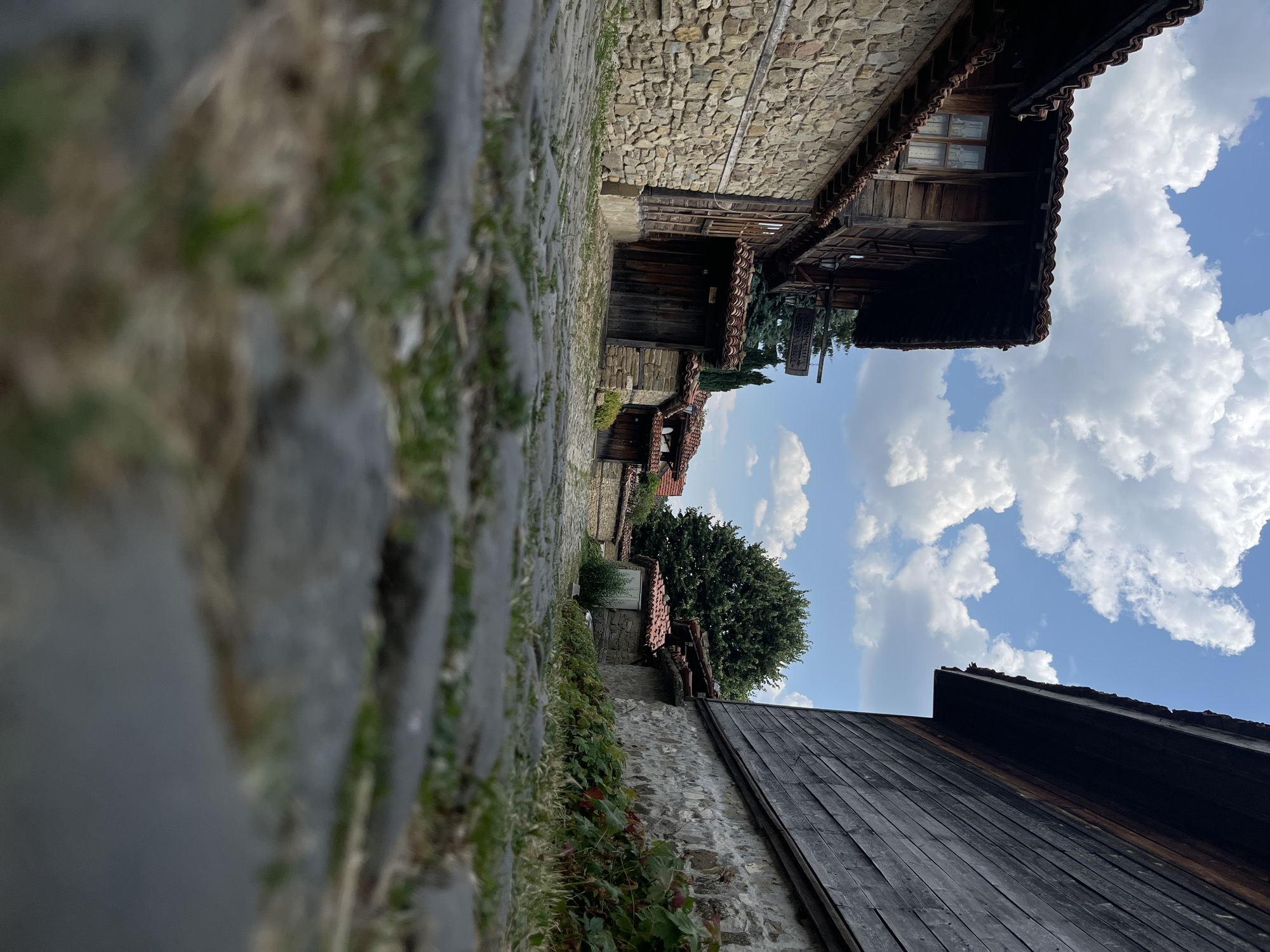 This is a ground-level, low-angle photograph taken on a cobblestone street in the historic village of Zheravna, Bulgaria. The street is lined with traditional Bulgarian Revival architectural style houses, characterized by their stone foundations and wooden upper stories with protruding eaves. The houses have red tile roofs. In the foreground, the cobblestones are prominent and slightly out of focus, with patches of grass growing between them.
On the left side of the street, a two-story stone and wood house is visible. It has a wooden door and a window on the upper floor with curtains. A sign hangs from the building. Further down the street, other houses with similar architectural features are visible, creating a sense of depth and historical atmosphere.
On the right side of the street, the side of another house is depicted, constructed with stone at the base and wooden planks on the upper section. Green plants with red-tinged leaves are growing along the base of this building.
The background features a large, leafy green tree and a bright blue sky filled with fluffy white clouds. The overall impression is one of a well-preserved historical village, likely a tourist destination, showcasing its authentic architecture under a clear, sunny sky. No people are visible in the image.