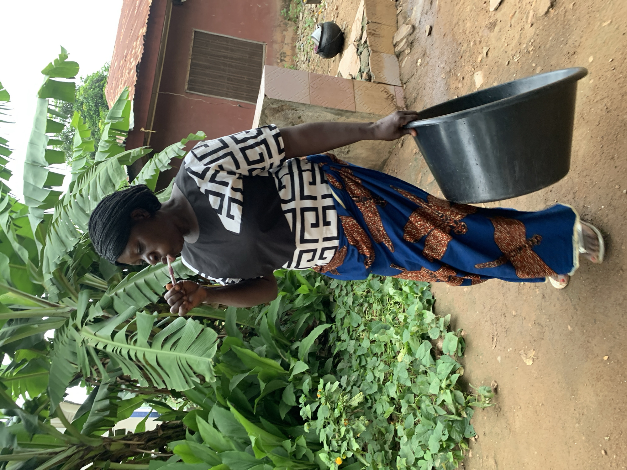 An image captures a woman standing outdoors in Akwanga, Nigeria. She is positioned slightly off-center to the left, facing towards the right side of the frame. The woman has dark skin and her hair is styled in dark braids. She wears a black short-sleeved top with white sleeves adorned with a bold black geometric pattern. Her lower body is covered by a long, flowing skirt or wrapper in a vibrant blue color, patterned with brown, intricate designs. Light-colored sandals are visible on her feet.
In her right hand, she holds a large, black plastic basin, and her left hand is near her mouth, holding a red and white straw-like object, possibly a lollipop or sweet. Her gaze is directed downwards.
The setting is an outdoor space with bare, reddish-brown earth as the ground. To the left, large-leafed green plants, resembling banana trees, are prominent. Smaller green leafy plants grow closer to the ground on the right. In the background, there's a simple, reddish-brown building with a corrugated metal roof and a window featuring horizontal slats. The lighting suggests it is daytime, possibly with an overcast sky or bright shade, as no harsh shadows are evident. No visible text is present in the image.