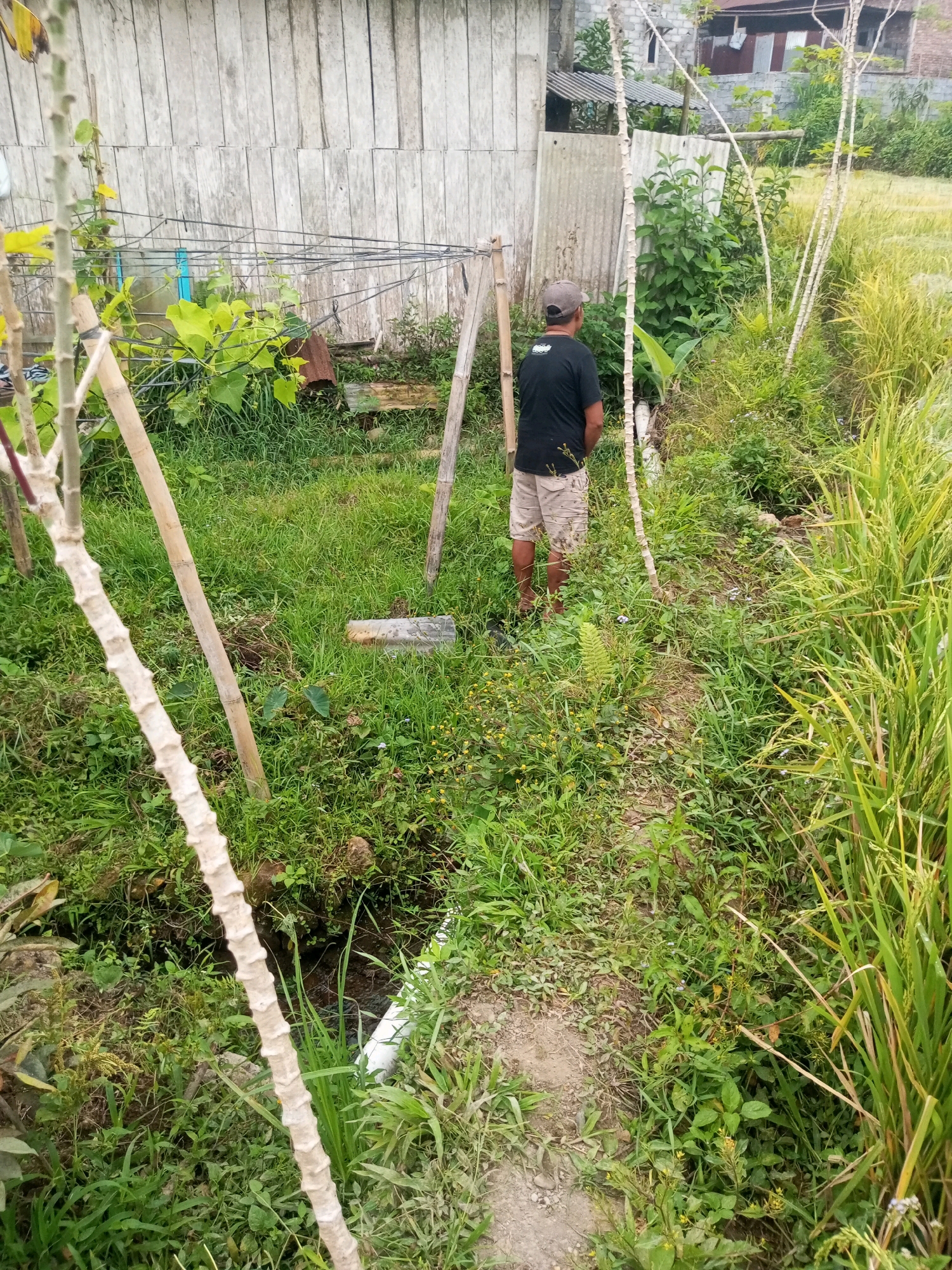 In the village of Krasak, Indonesia, a man wearing a black t-shirt and beige shorts stands in a grassy area next to a rice paddy. He is facing away from the camera, with his head slightly bowed. The background consists of a wooden fence and some foliage. A narrow path runs through the grass in front of the man, leading towards a small stream or ditch. The overall impression is one of a rural, outdoor setting.