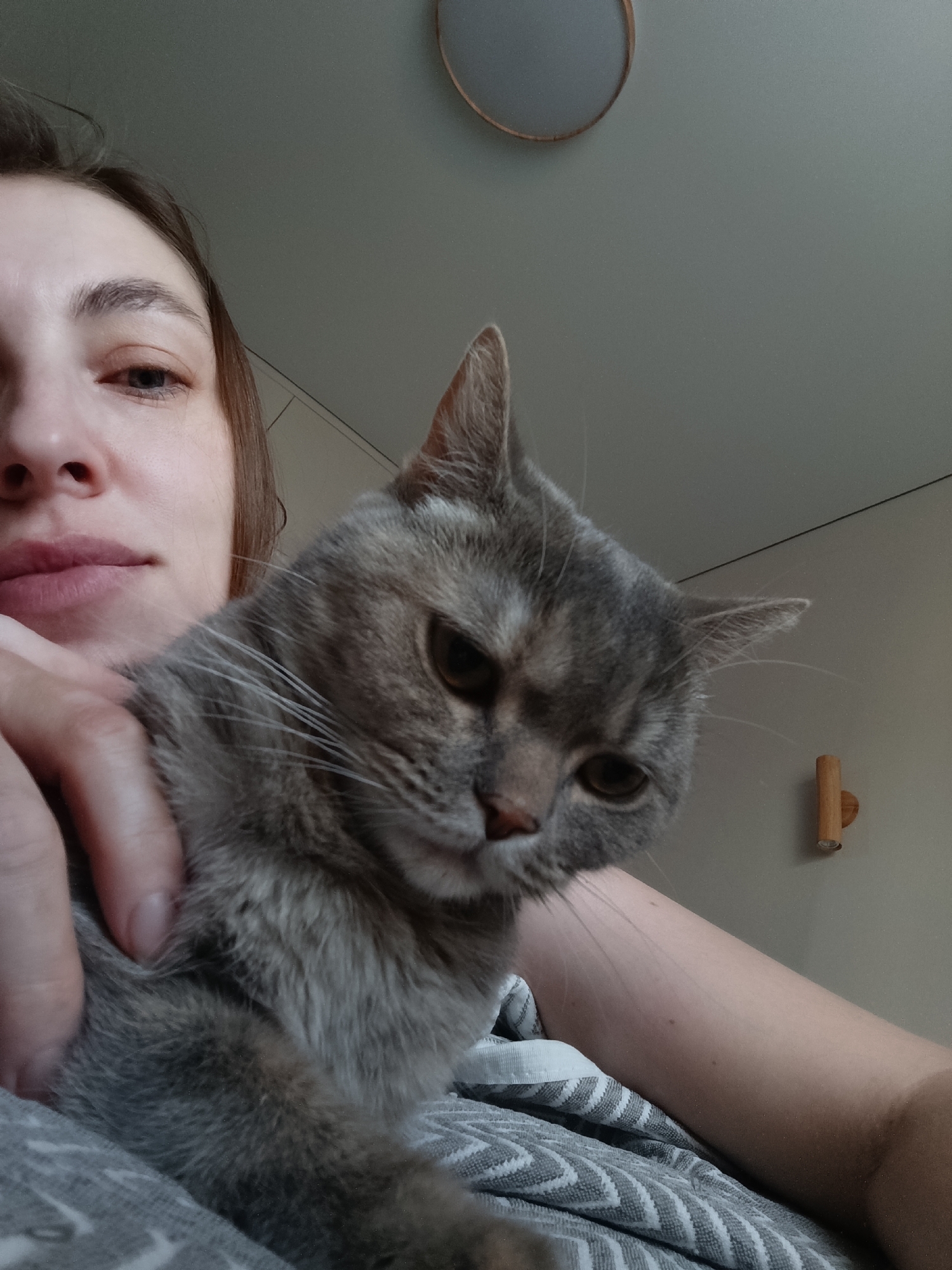 A woman holds a gray cat in her arms in an indoor setting. The woman's face is partially visible on the left, while the cat occupies the center of the image. The cat appears to be looking downward. The background consists of a light-colored wall, a ceiling light, and a wooden peg on the wall. The location is Chaikovsky, Russia.