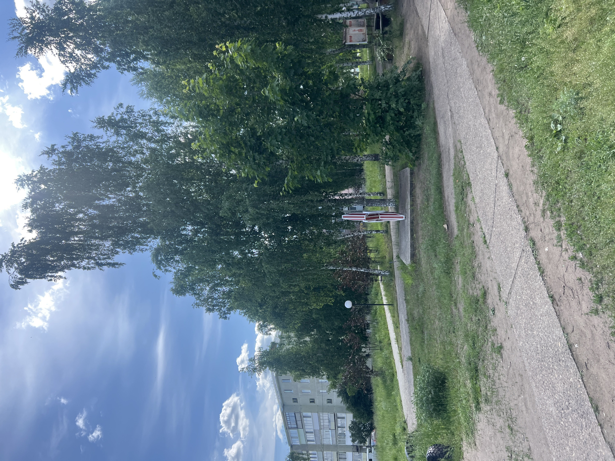 The image displays an outdoor scene within a residential area of Noviy, Russia, under bright daytime conditions. The sky is blue with scattered white clouds, and direct sunlight is visible in the upper right quadrant. The foreground consists of a combination of concrete and dirt pedestrian paths traversing grassy ground, which exhibits areas of sparse vegetation and exposed earth. A large black vehicle tire rests in the grass in the lower-left corner.
The middle ground is characterized by numerous tall birch trees with white bark and green foliage, interspersed with other green deciduous trees. A single streetlight with a spherical white fixture is positioned slightly left of the center. Centrally located, on a concrete platform, is a modern sculpture or marker formed by two vertically oriented, curved panels, one red and one white. To the right, two weathered, box-like structures, consistent with public notice boards or kiosks, are partially obscured by the trees.
In the background on the left, a multi-story, light-colored residential apartment building with several windows and enclosed balconies is visible. No human individuals are present within the depicted scene.