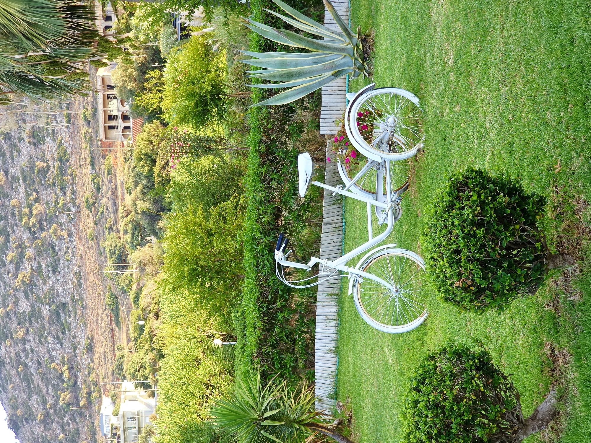The image depicts a white tricycle situated on a meticulously maintained green lawn. The tricycle is the central subject, featuring a basket with pink flowers at the front and a single white seat. Behind the tricycle, a dense green hedge forms a backdrop. To the right of the tricycle, a large agave plant with blue-green leaves stands prominently. In the background, a mountainous landscape is visible, dotted with scattered buildings and vegetation. The overall scene suggests an outdoor setting, possibly a garden or park area within the Malia Municipal Unit, Greece.